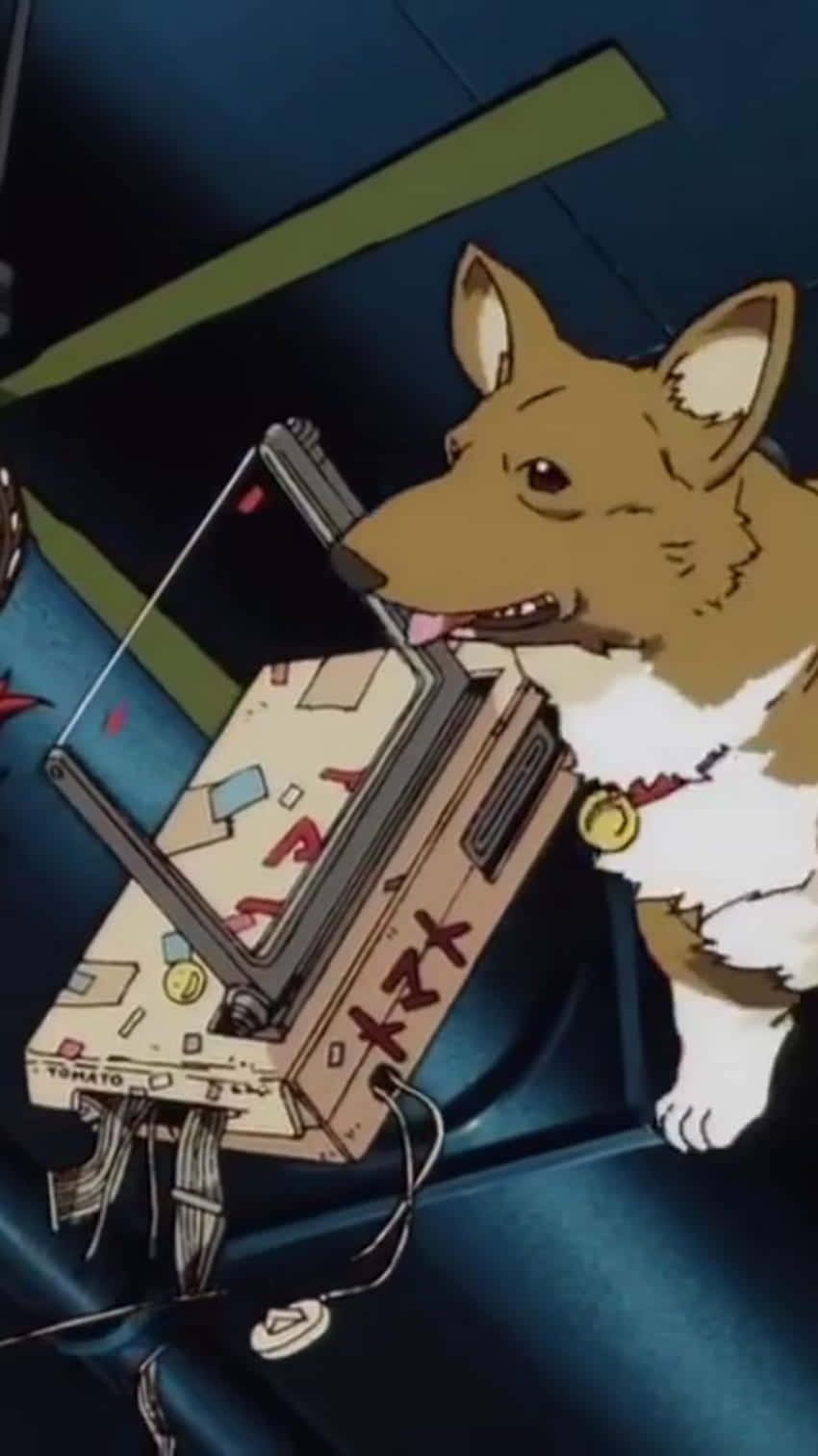 Cowboy Bebop Ein 桌布 壁紙 — 一隻帶有金色標籤的柯基犬在昏暗的環境中拿著一部貼滿彩色貼紙的復古手提遊戲機。