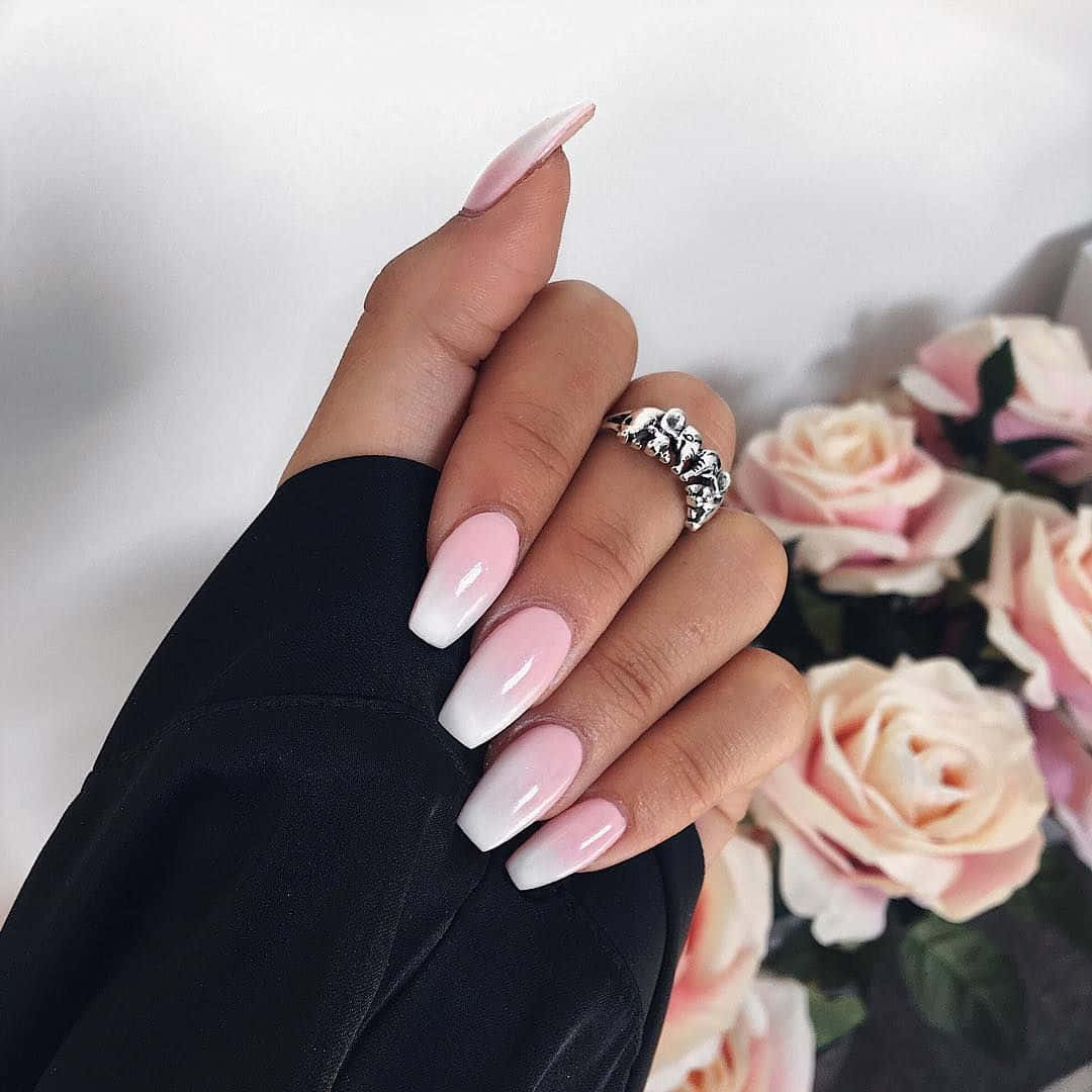 Pink Nails 桌布 壁紙 — 一隻帶有長粉紅漸變指甲和銀戒指的手，在白色背景上放在柔軟的粉紅玫瑰旁邊。