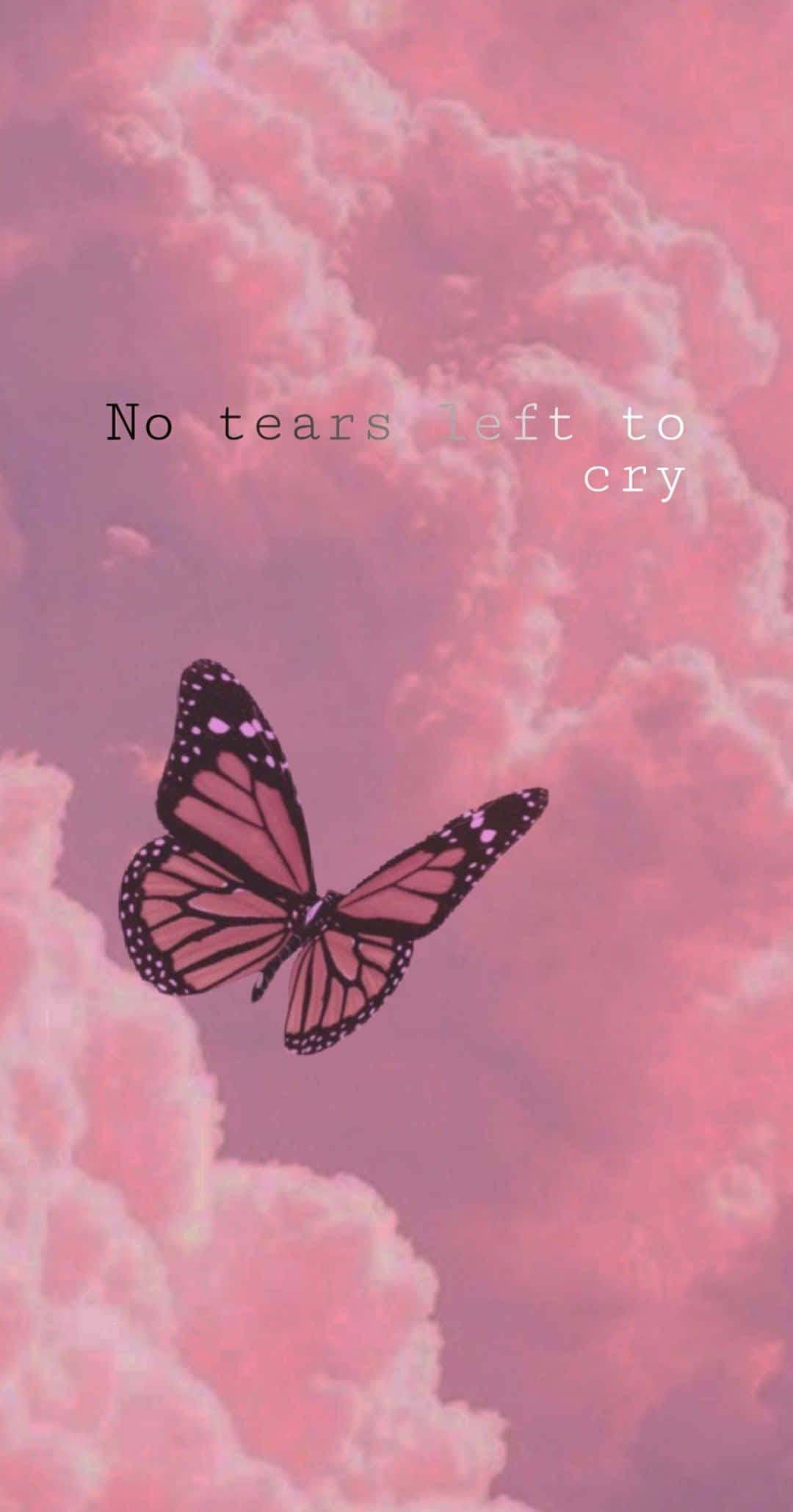 Butterfly Quotes 桌布 壁紙 — 一隻帶有黑色和橙色翅膀的帝王蝶在柔和的粉紅色雲朵中飛翔，下方有文字「No tears left to cry」。