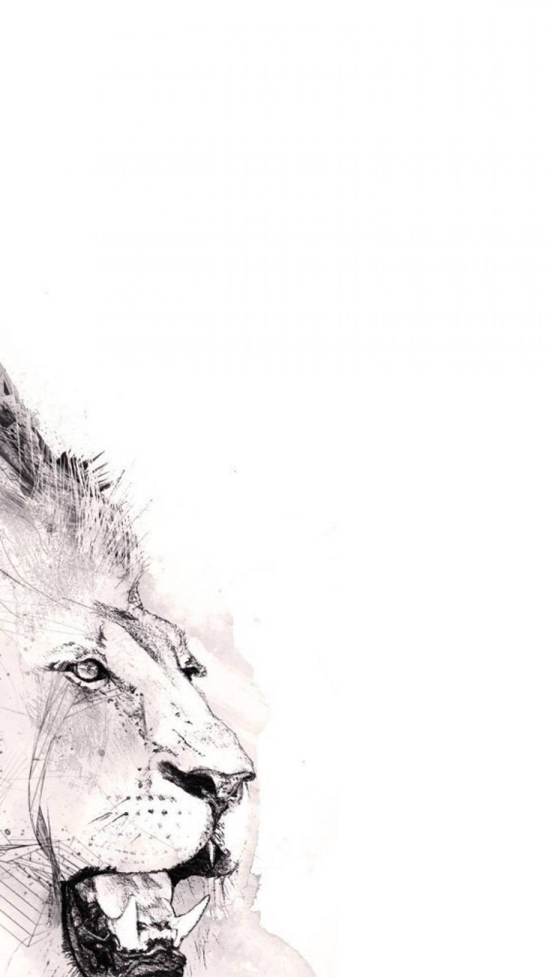 獅子 桌布 壁紙 — 一隻強而有力的獅子頭部，以單色墨水素描呈現，雙眼充滿表情，嘴巴張開，背景為純白色。