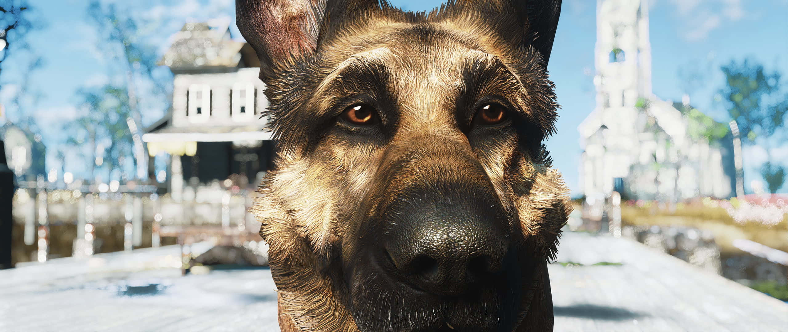 Fallout 4 Dogmeat 桌布 壁紙 — 一隻德國牧羊犬在明亮的日光下，以模糊的村莊和教堂為背景，專注地凝視著鏡頭。