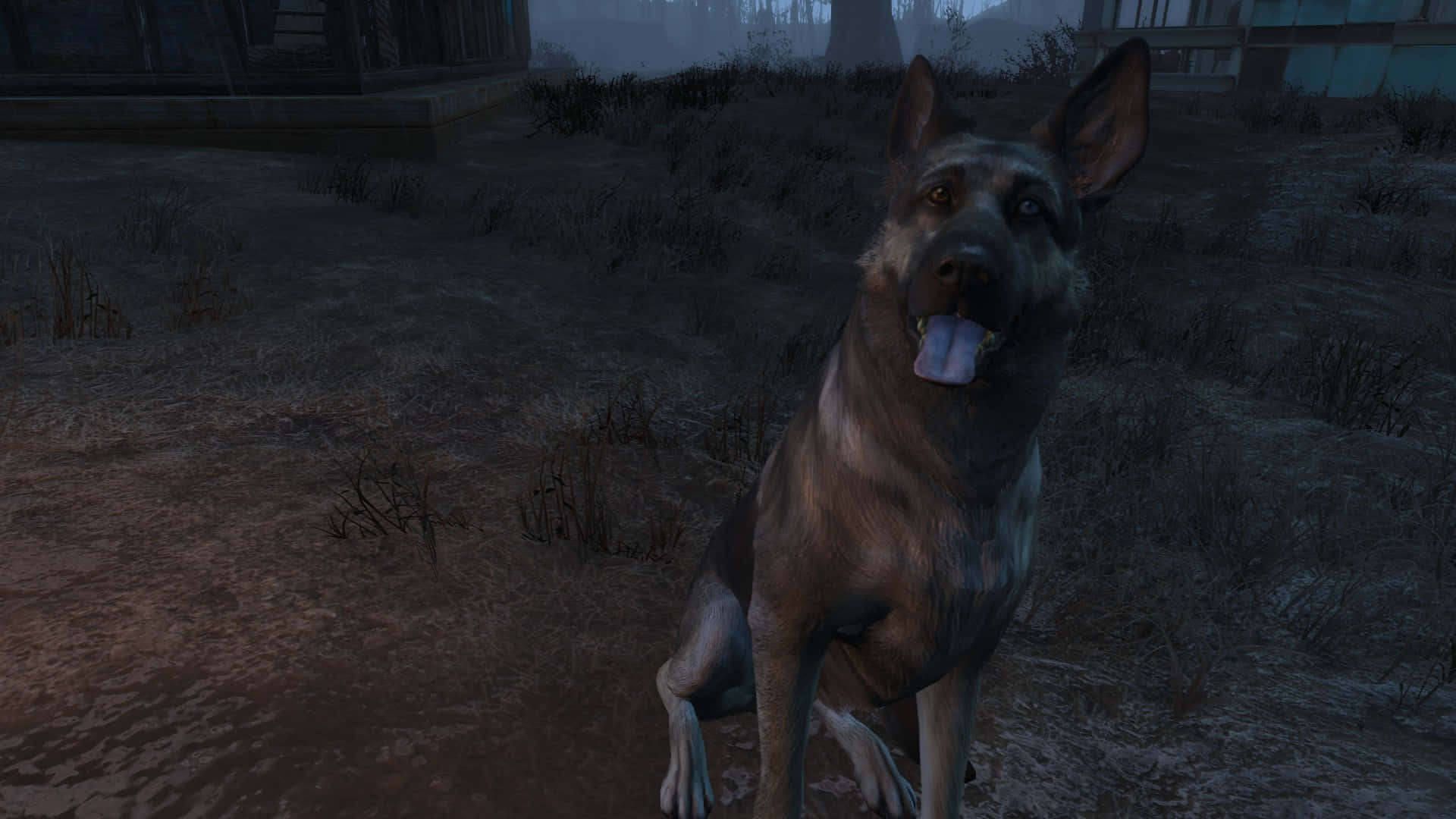 Fallout 4 Dogmeat 桌布 壁紙 — 一隻德國牧羊犬警覺地坐在霧氣瀰漫、雜草叢生的庭院中，背景是破舊的建築物。
