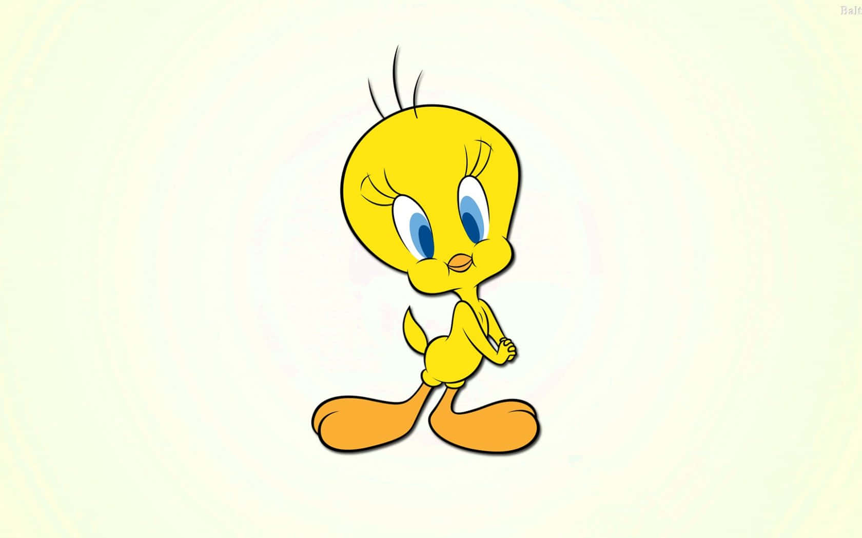 「That’s all folks!」 壁紙 — 一隻快樂的黃色卡通鳥，有藍色眼睛和橙色腳，站在柔和的奶油色背景前。