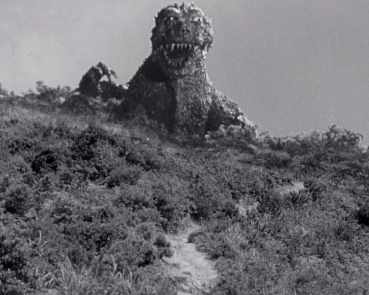 Godzilla 1954 桌布 壁紙 — 一隻怪獸哥斯拉從長滿草的山坡上出現，畫面是粗糙的黑白電影劇照。