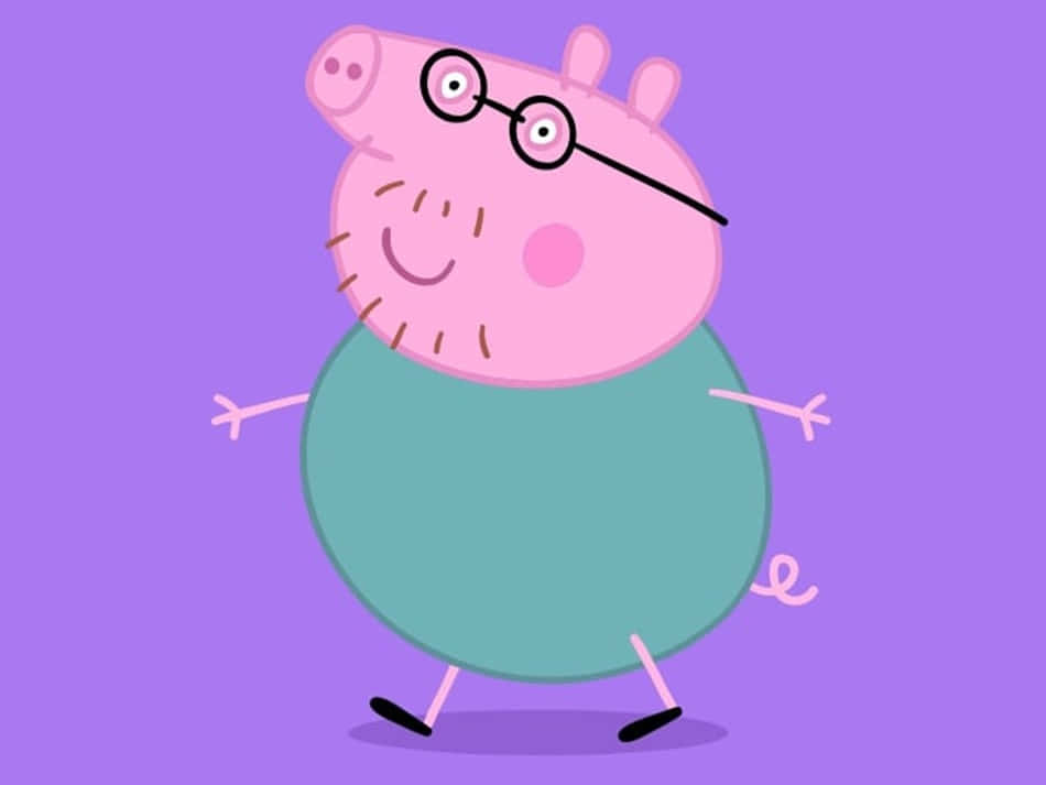 Daddy Pig 桌布 壁紙 — 一隻戴眼鏡、穿著青綠色襯衫的快樂卡通豬，在純紫色背景上快樂地行走。