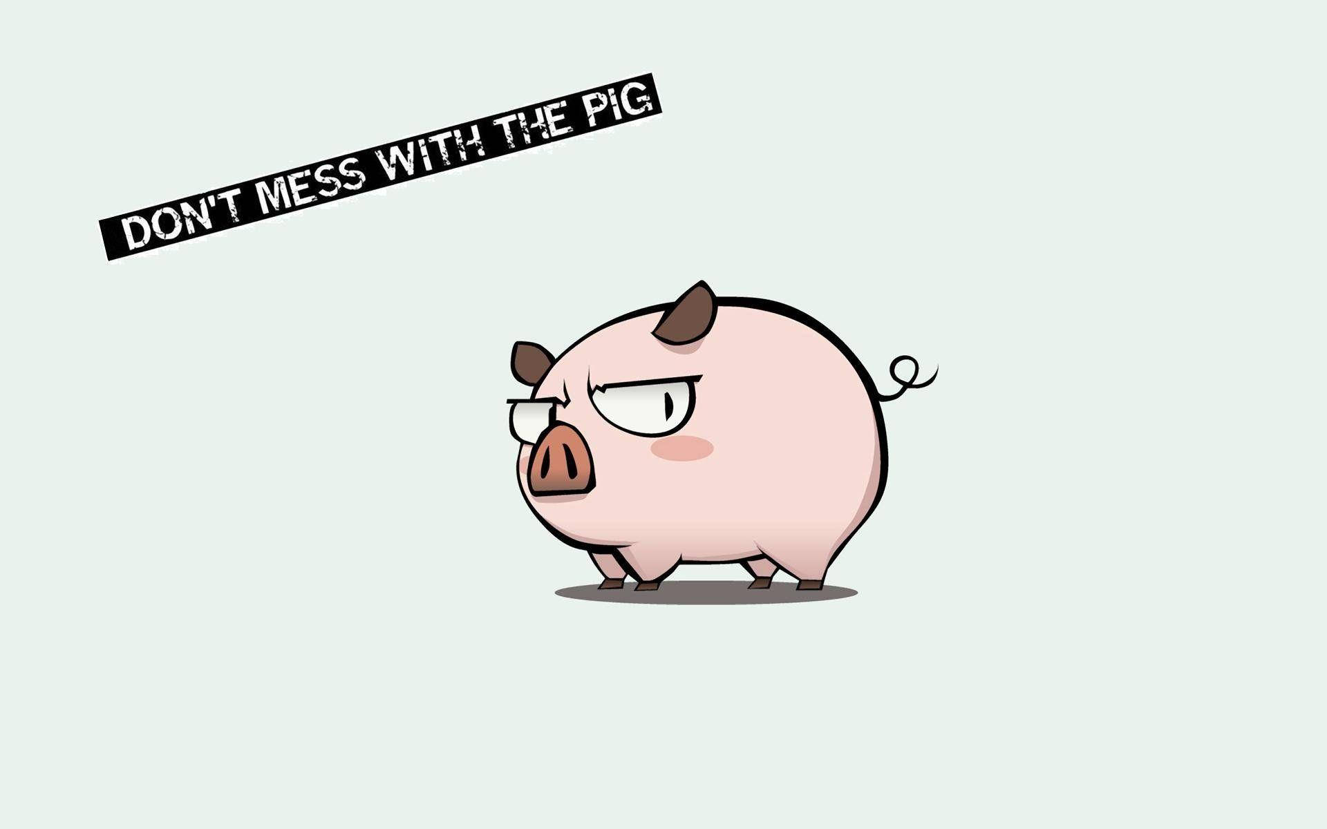 動物 桌布 壁紙 — 一隻戴眼鏡的卡通豬在「DON'T MESS WITH THE PIG」橫幅下憤怒地瞪著眼。