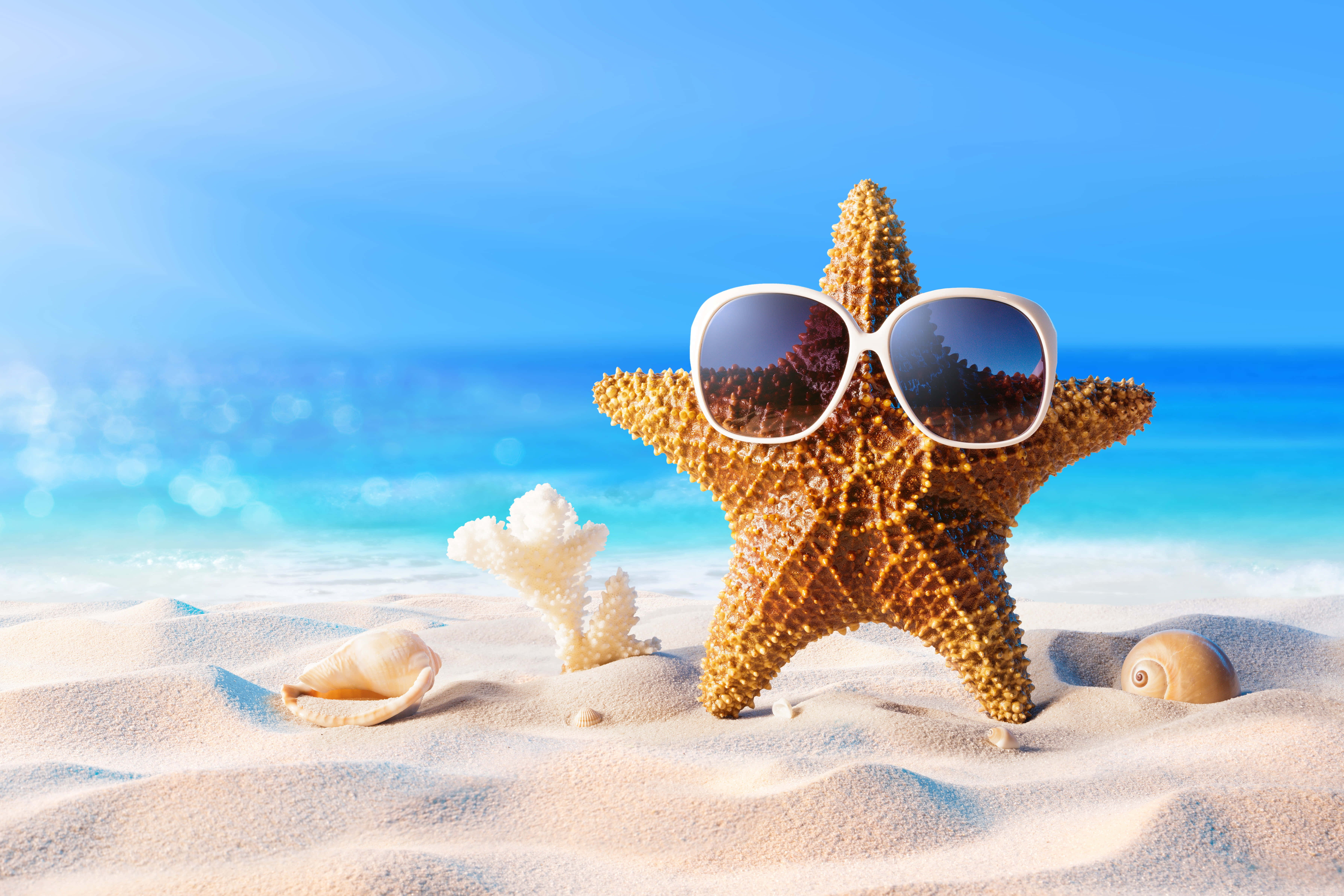 Sunglasses 桌布 壁紙 — 一隻戴著白色太陽眼鏡的海星在明亮的藍天下，躺在沙灘上，旁邊有貝殼，悠閒地休息。