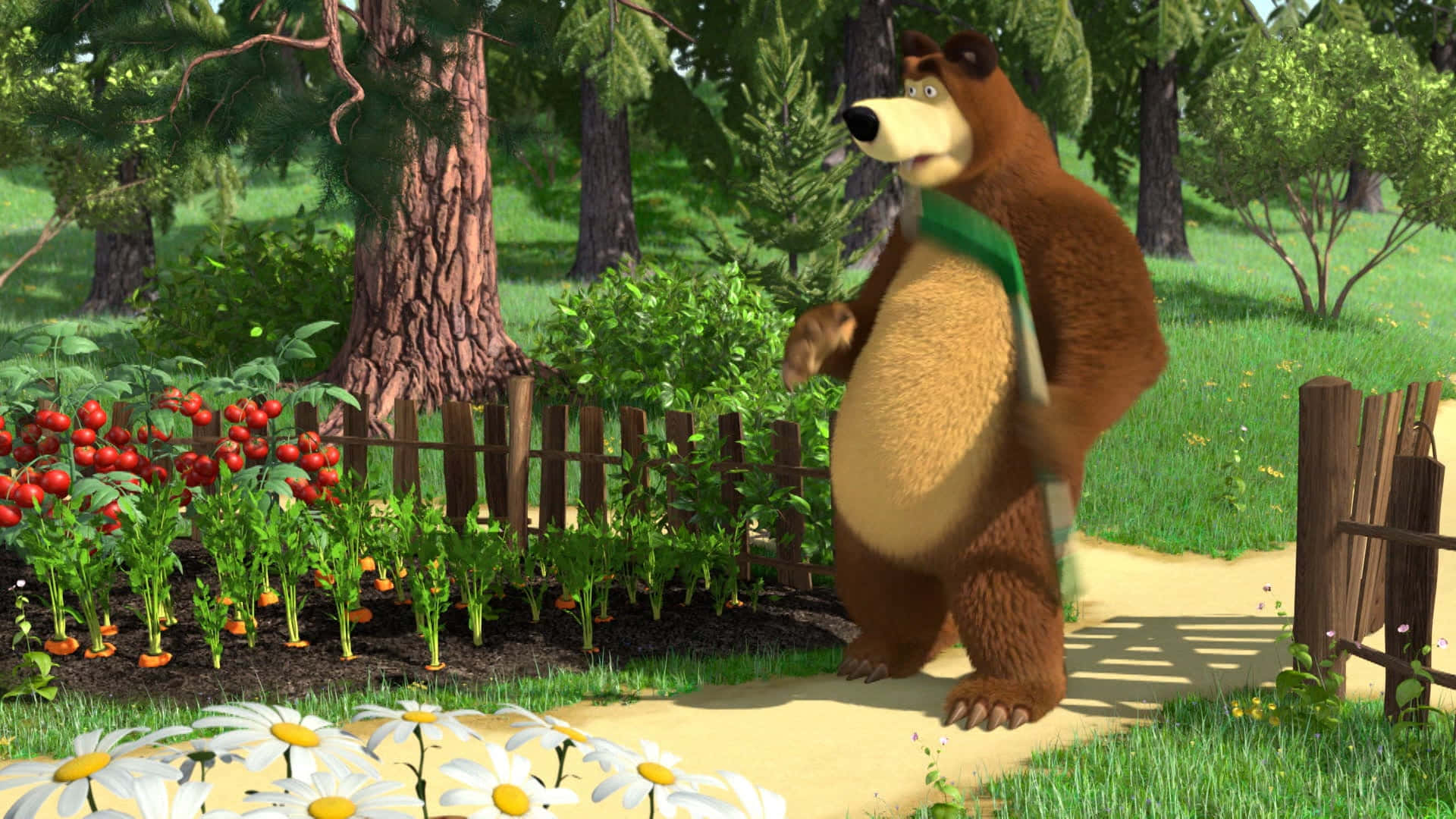 Masha And The Bear 桌布 壁紙 — 一隻戴著綠色圍巾的卡通熊在明亮的日光下，沿著一條小路走過一個圍欄花園，裡面有紅色的番茄和白色的雛菊。