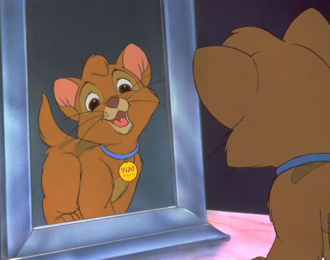 oliver and company 桌布 壁紙 — 一隻戴著藍色項圈的卡通貓，帶著喜悅的表情凝視著銀框鏡中的倒影。