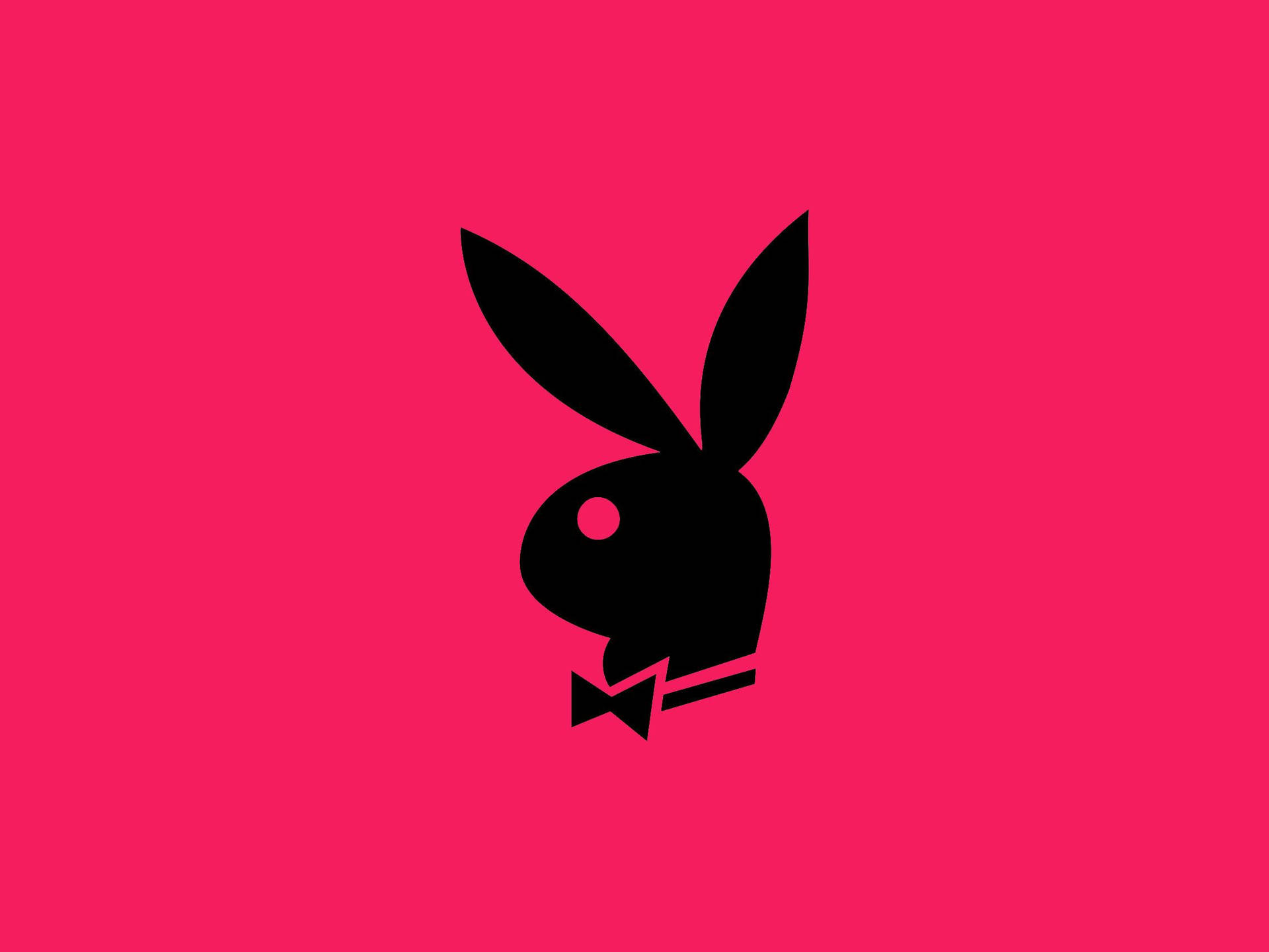 粉紅色背景上戴蝴蝶結的黑色兔子標誌 — Playboy GIF 壁紙