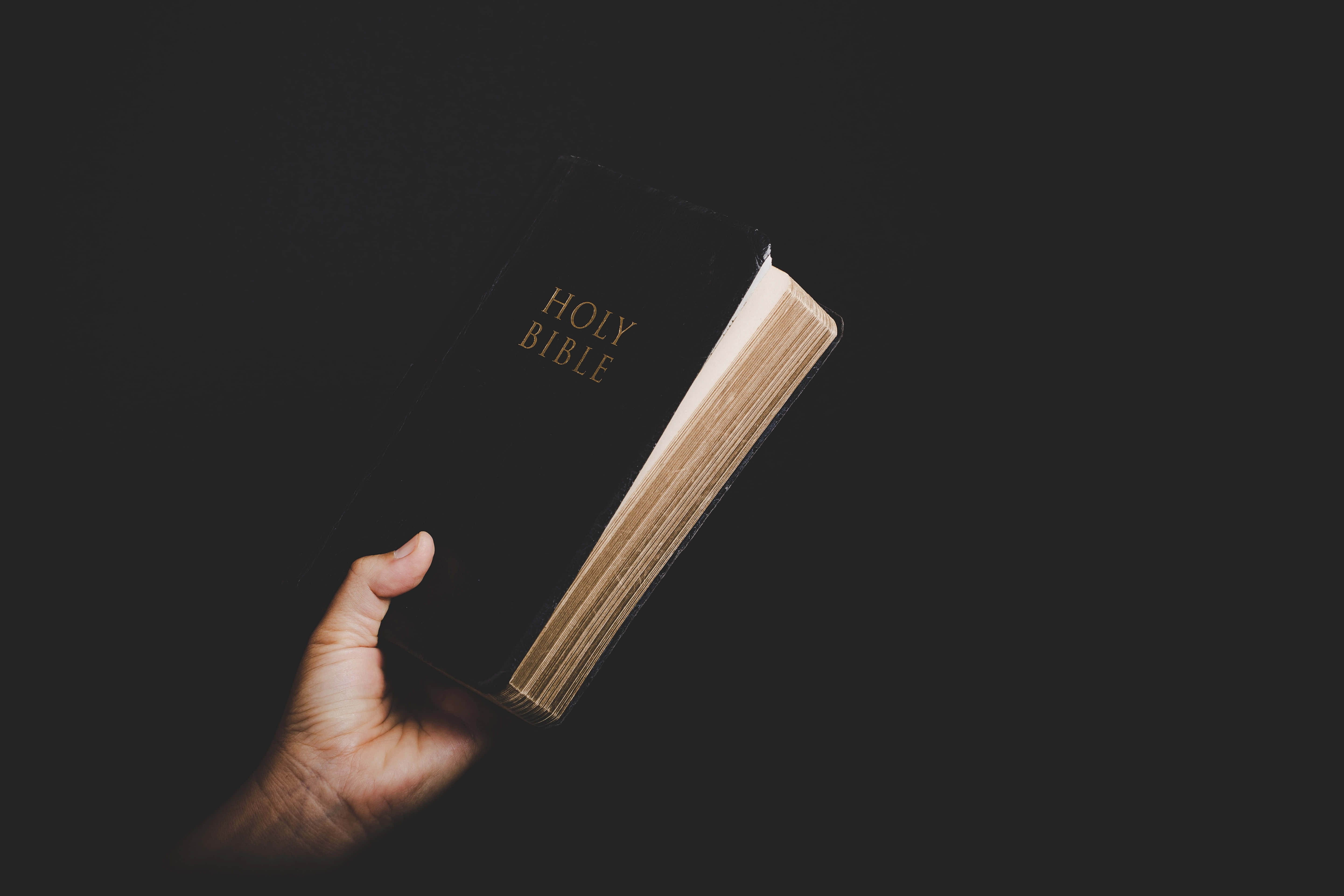 Biblical 桌布 壁紙 — 一隻手喺黑暗背景前，拎住一本有金色字嘅黑色聖經。