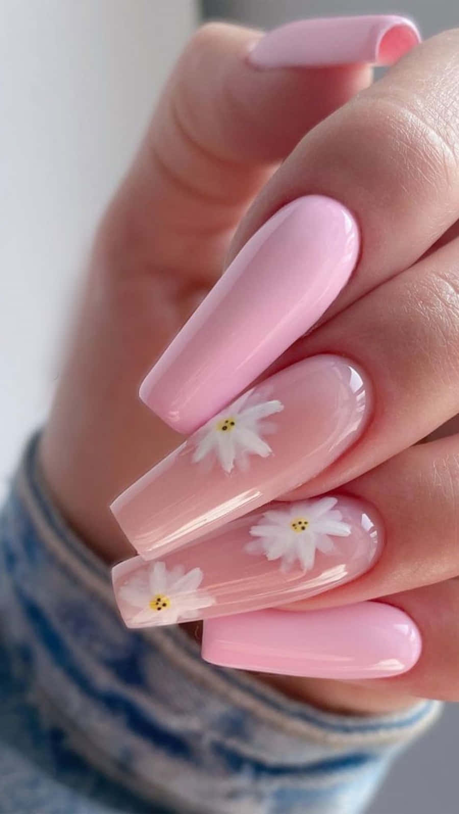 Pink Nail Art 桌布 壁紙 — 一隻手嘅特寫，長長嘅粉紅色指甲上點綴著精緻嘅白色雛菊貼紙，背景柔和模糊。