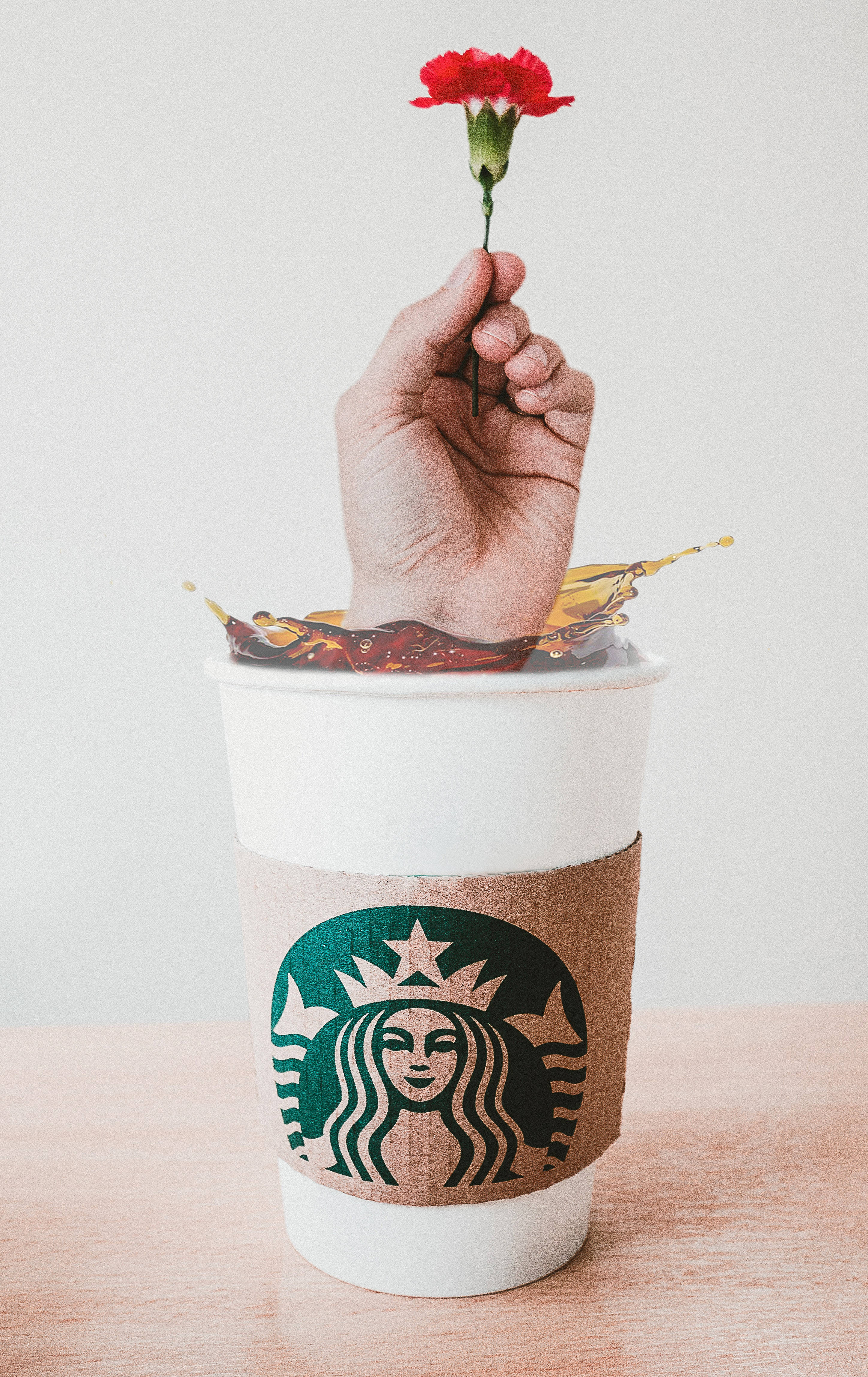 咖啡 桌布 壁紙 — 一隻手從 Starbucks 咖啡杯中伸出，握著一朵紅色康乃馨，咖啡在杯邊飛濺。