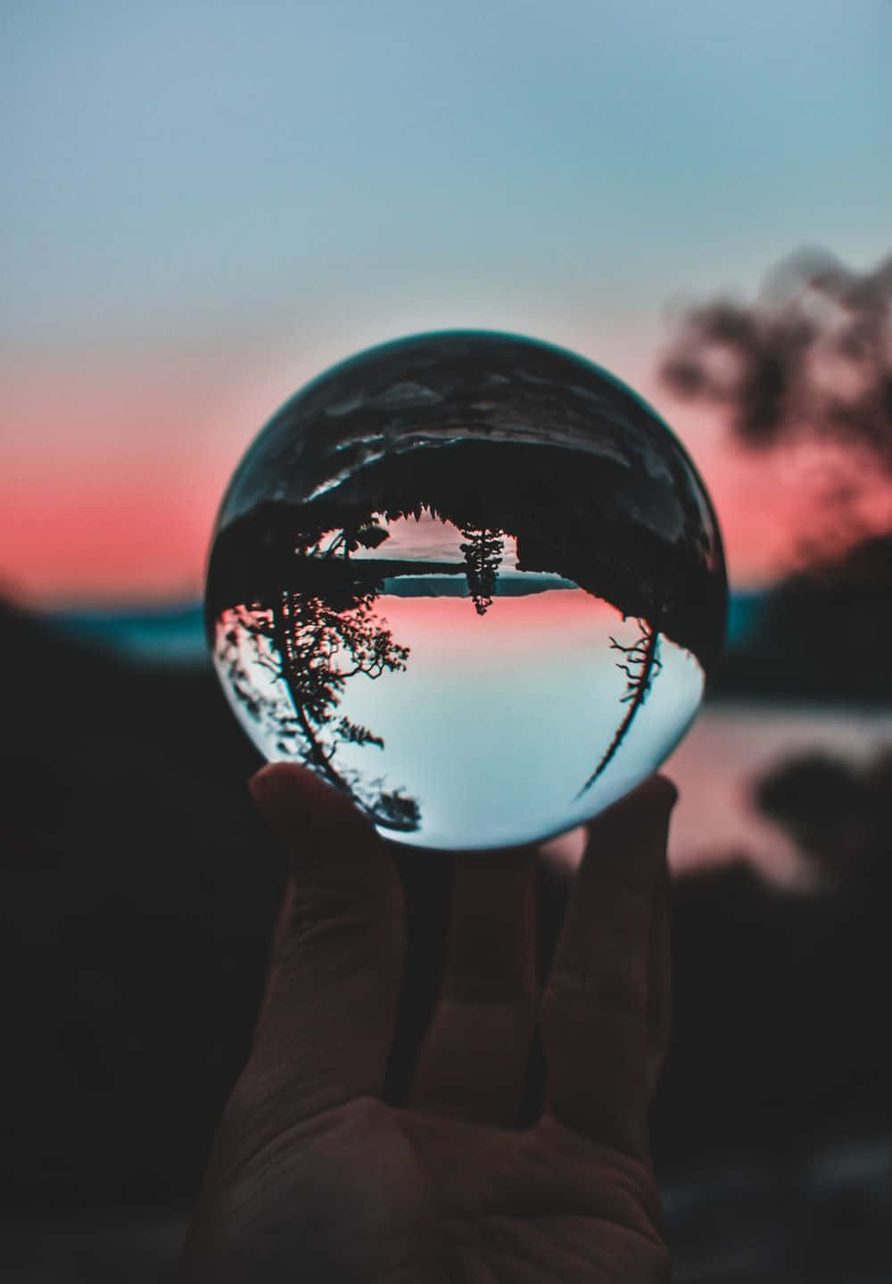 Crystal Ball 桌布 壁紙 — 一隻手拿著一個水晶球，反射出水面上的寧靜日落和樹木的剪影。