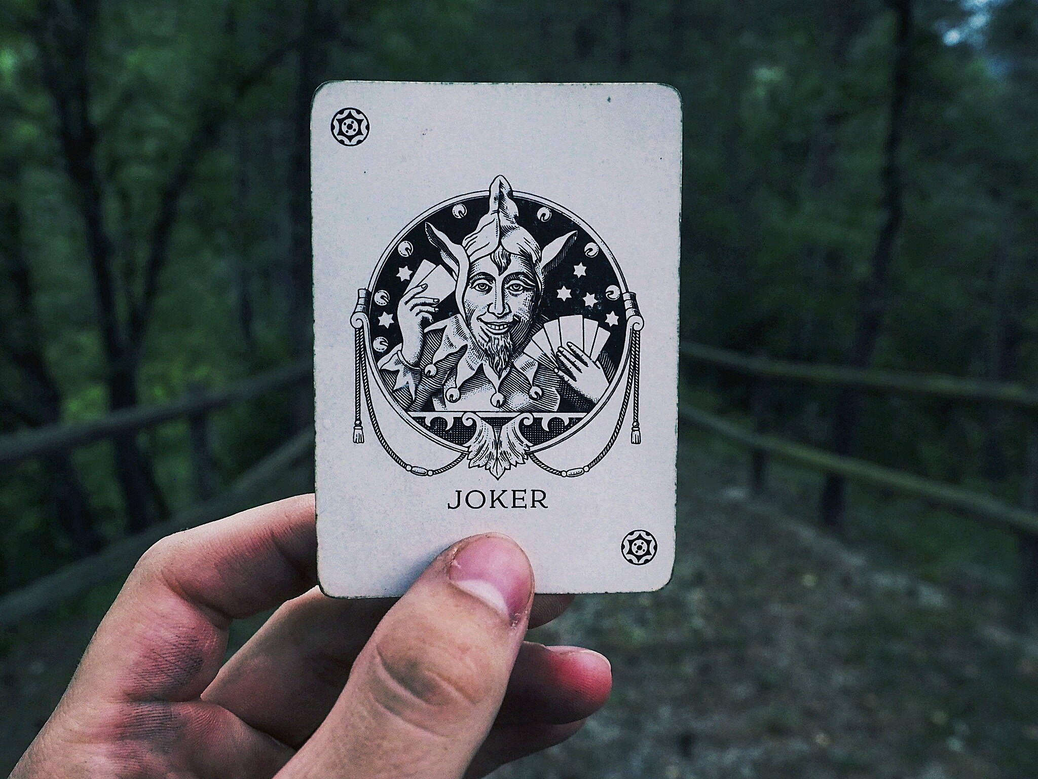 Here's the Joker! 壁紙 — 一隻手拿著一張復古小丑撲克牌，上面有詳細的黑白插圖，背景是模糊的森林。