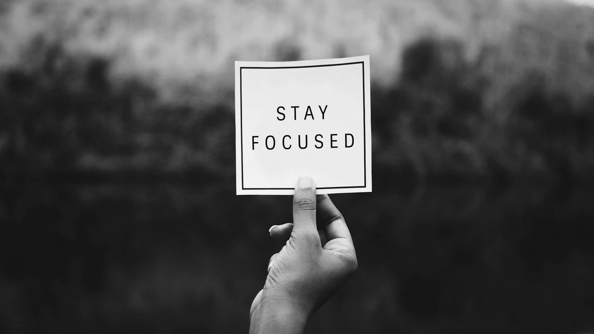 Focus 桌布 壁紙 — 一隻手拿著一張白色卡片，上面有粗體文字 'STAY FOCUSED'，背景是模糊的黑白自然景色。
