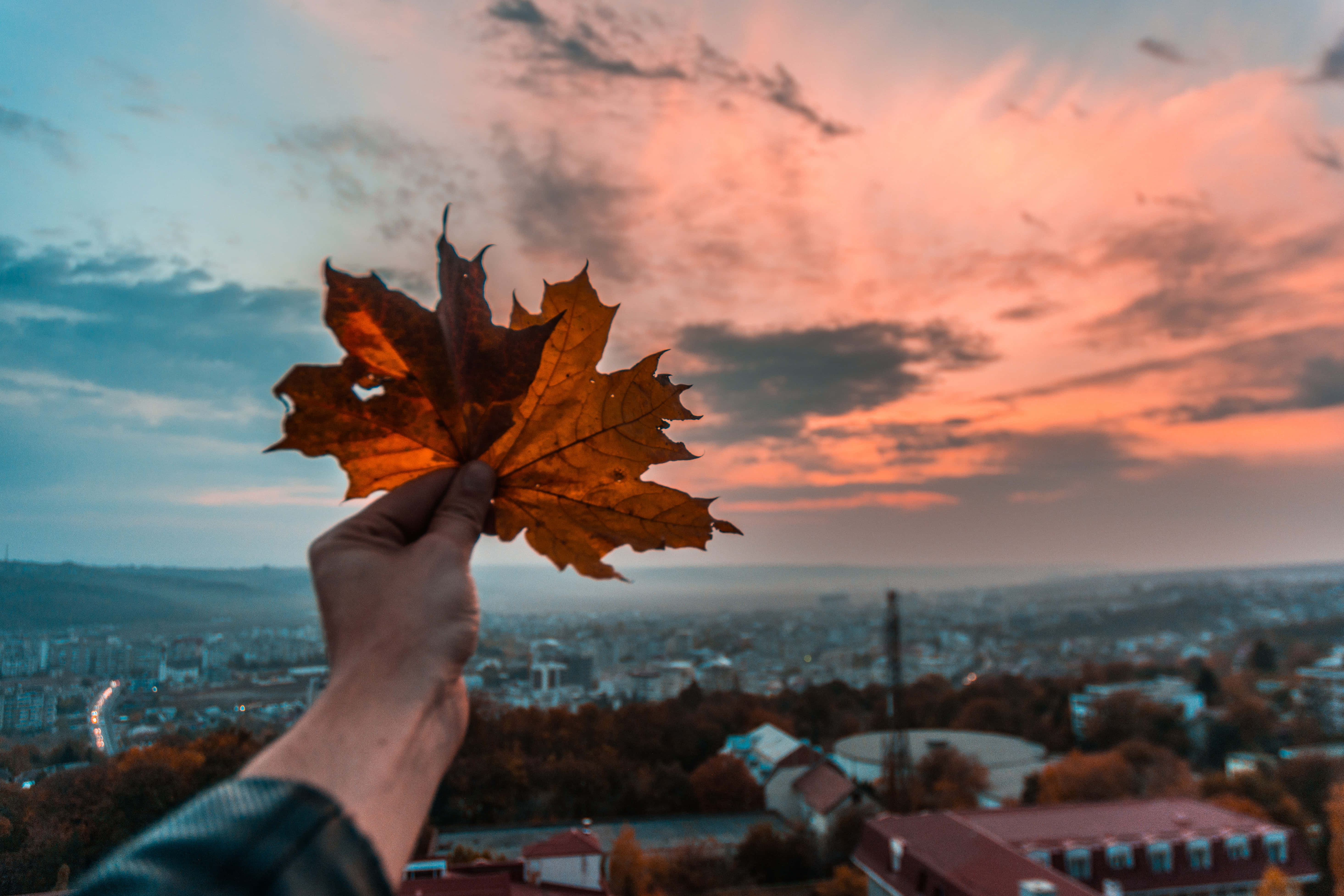 Autumn Evening 桌布 壁紙 — 一隻手拿著一片鮮豔的橙色楓葉，背景是廣闊城市景觀上空戲劇性的日落天空。