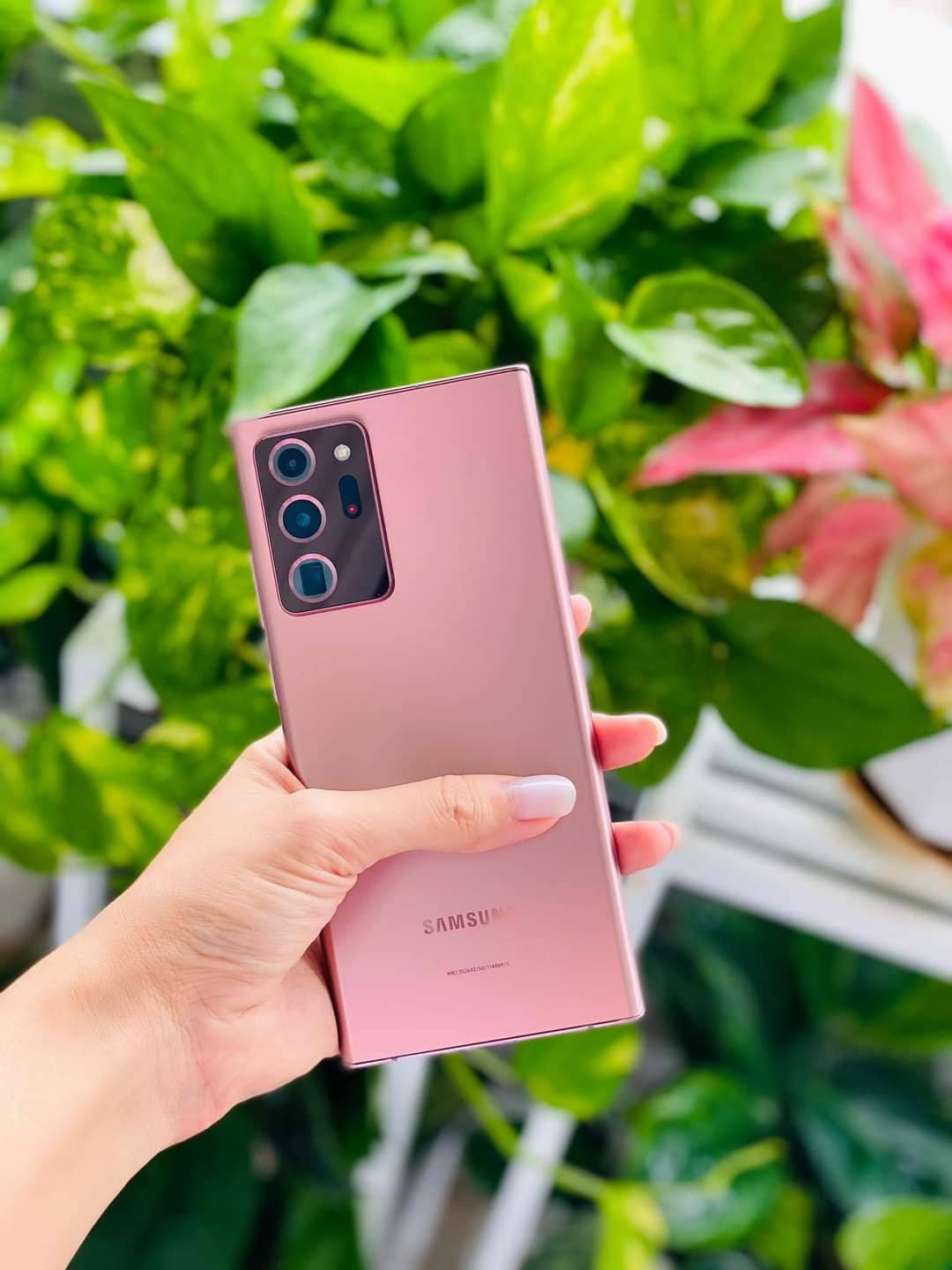 Samsung Galaxy Note 20 Ultra 桌布 壁紙 — 一隻手拿著玫瑰金三星智能手機，背景是茂密的綠色和粉紅色樹葉。