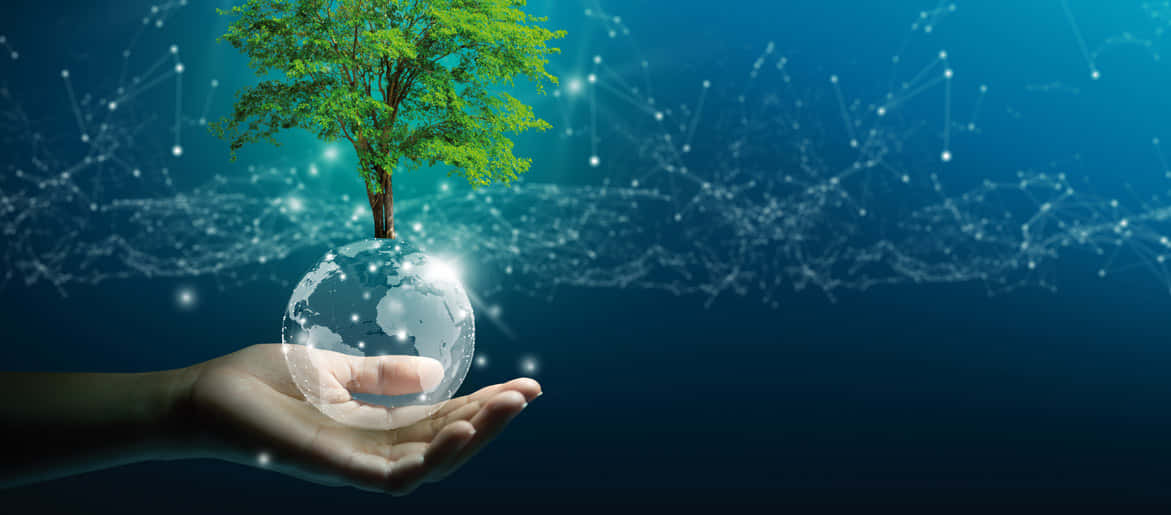 Green Technology 桌布 壁紙 — 一隻手捧著一個發光的地球儀，頂部長出一棵充滿活力的綠色樹木，背景是深藍色的數碼網絡。
