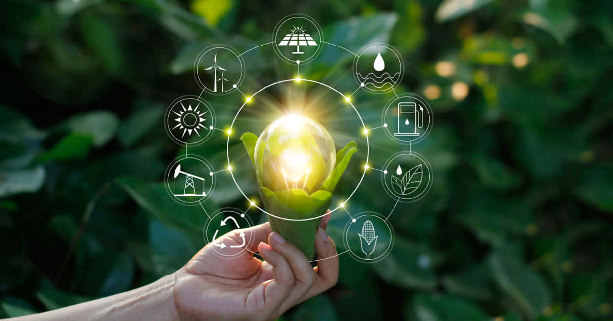 Green Technology 桌布 壁紙 — 一隻手捧著一朵花形狀的發光燈泡，周圍環繞著可再生能源的圖標，背景是茂密的綠色。