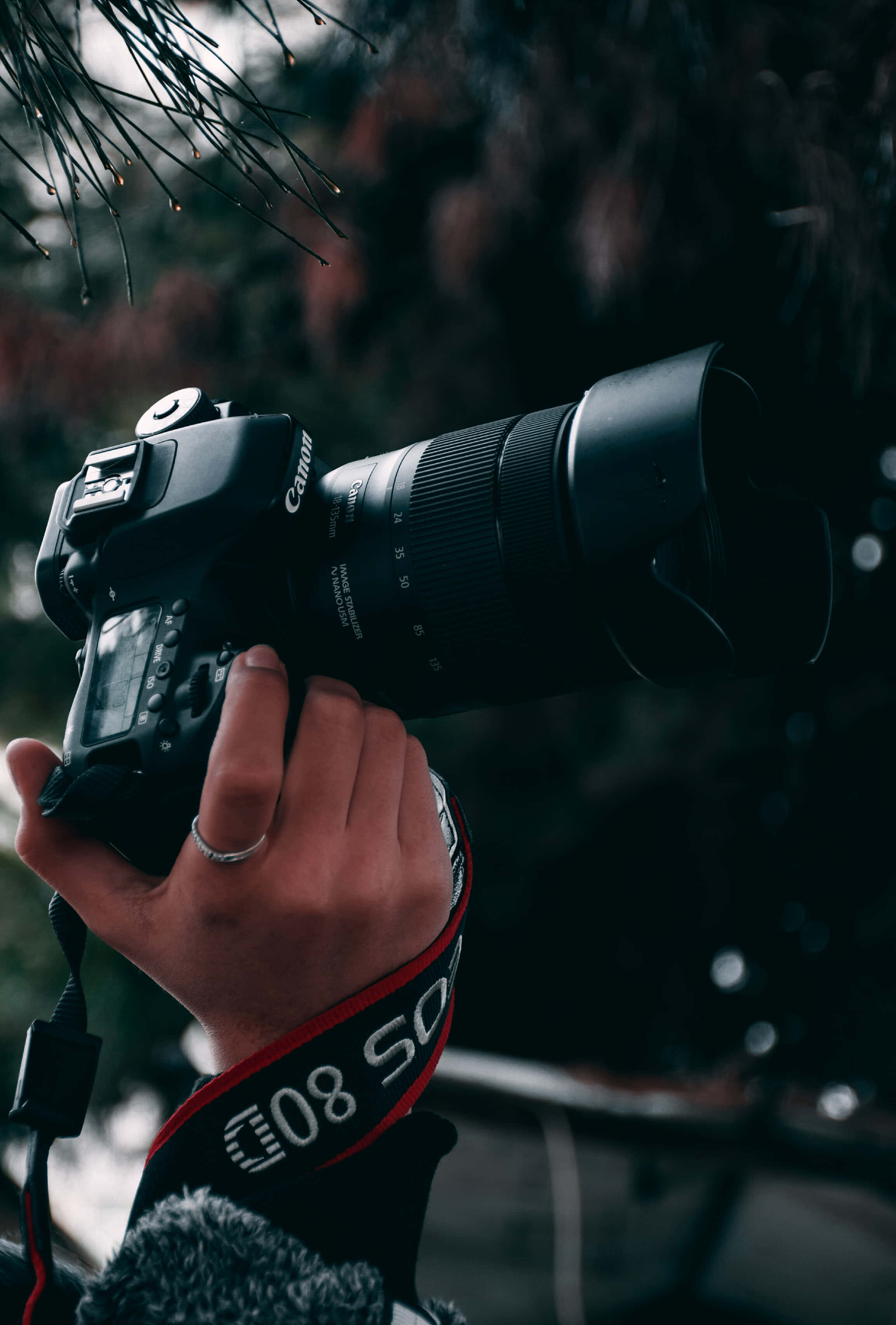 Dslr Camera 桌布 壁紙 — 一隻手握住一部帶有鏡頭的黑色Canon DSLR相機，背景是模糊的黑暗森林。
