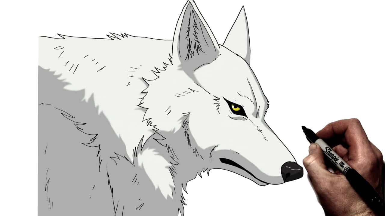 Wolf Art 桌布 壁紙 — 一隻手用黑色馬克筆在純白背景上畫出一隻細節豐富、擁有銳利黃眼睛的白狼。