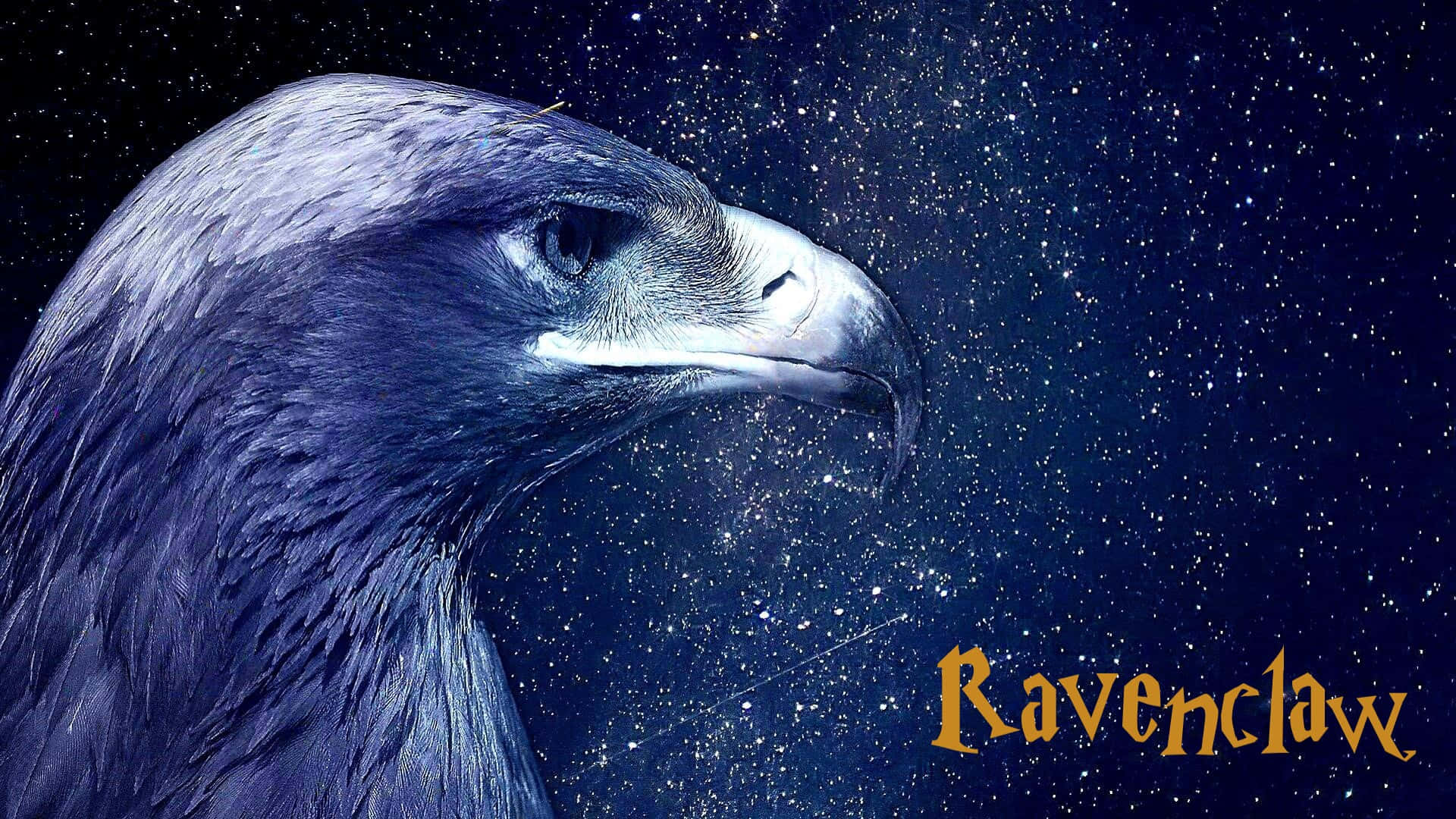 雷文克勞 桌布 壁紙 — 一隻擁有深色羽毛的雄偉老鷹，在繁星點點的夜空下凝視著，金色的「Ravenclaw」文字閃耀著光芒。