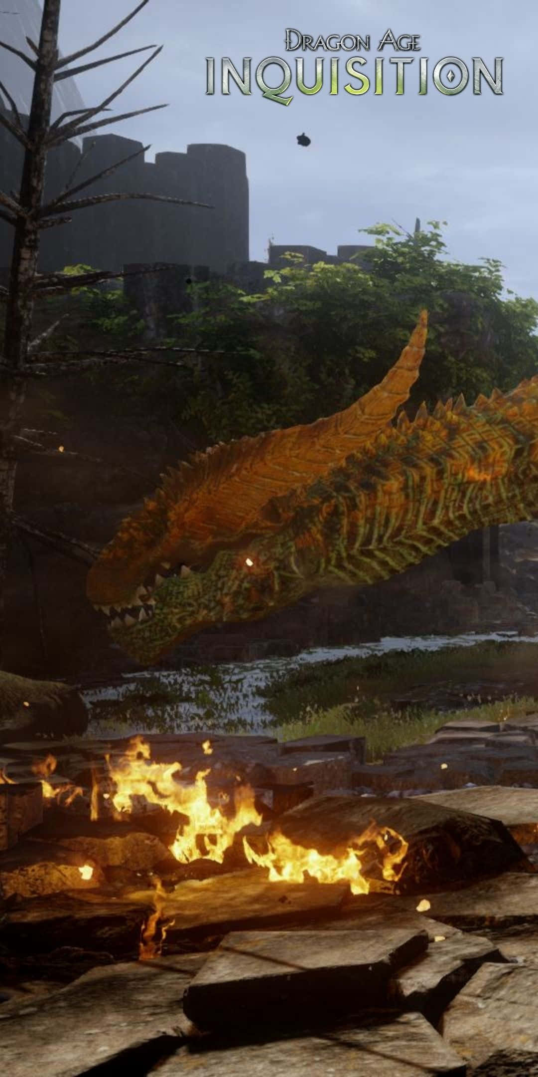 Pixel 3 Dragon Age Inquisition 桌布 壁紙 — 一隻擁有發光橙色鱗片的巨大龍，在城堡附近霧氣瀰漫的森林空地中，籠罩著熾熱的營火。