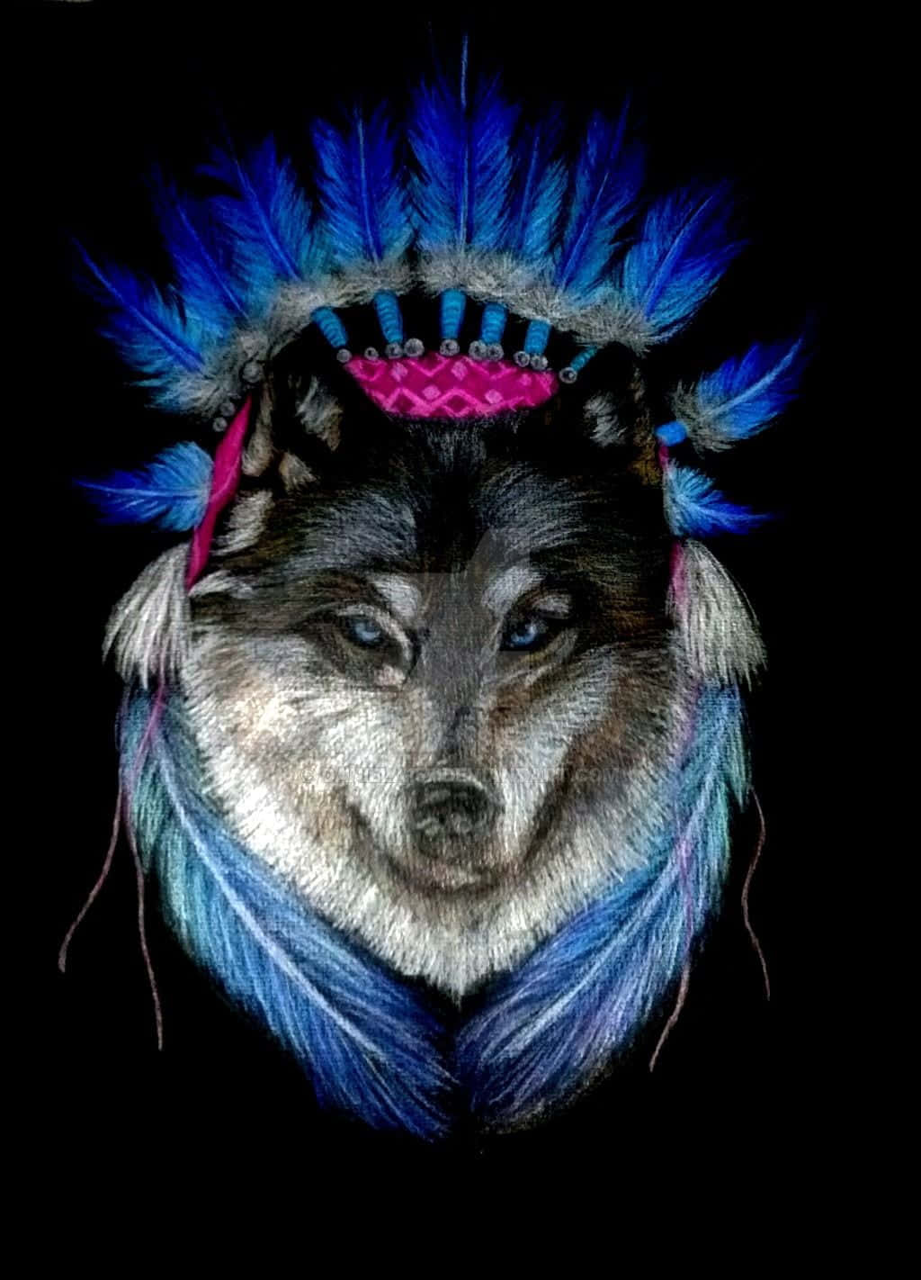 Tribal Wolf 桌布 壁紙 — 一隻擁有銳利藍眼睛的狼，在純黑背景上戴著鮮豔的藍色和粉紅色羽毛頭飾。