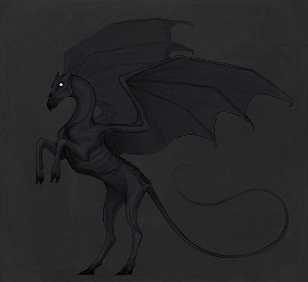 Thestral 桌布 壁紙 — 一隻暗翼龍，擁有發光的白色眼睛，站在陰影灰色背景前。