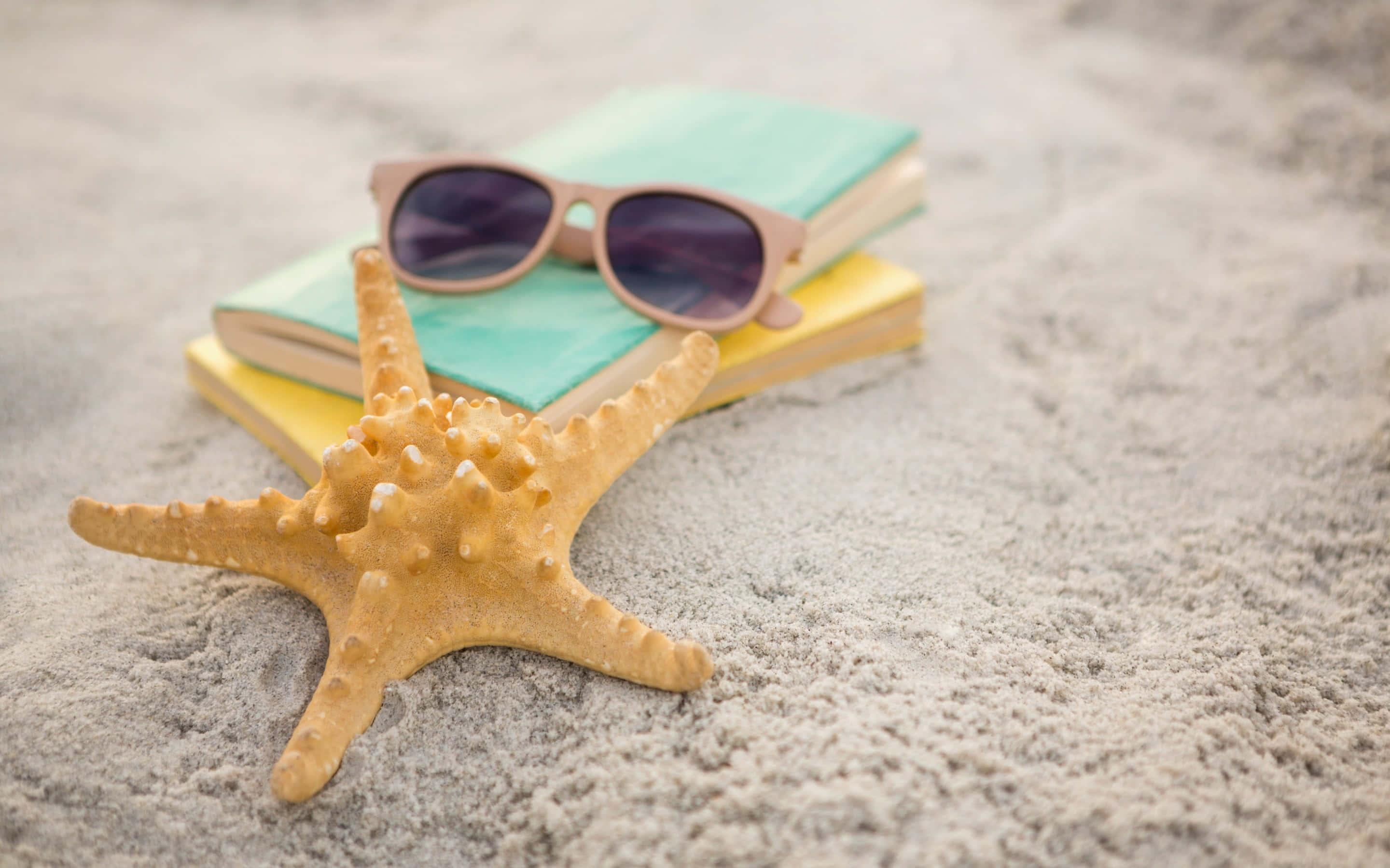 Beach Accessories 桌布 壁紙 — 一隻有紋理的橙色海星躺在細沙上，旁邊是堆疊的彩色書籍和一副太陽眼鏡。