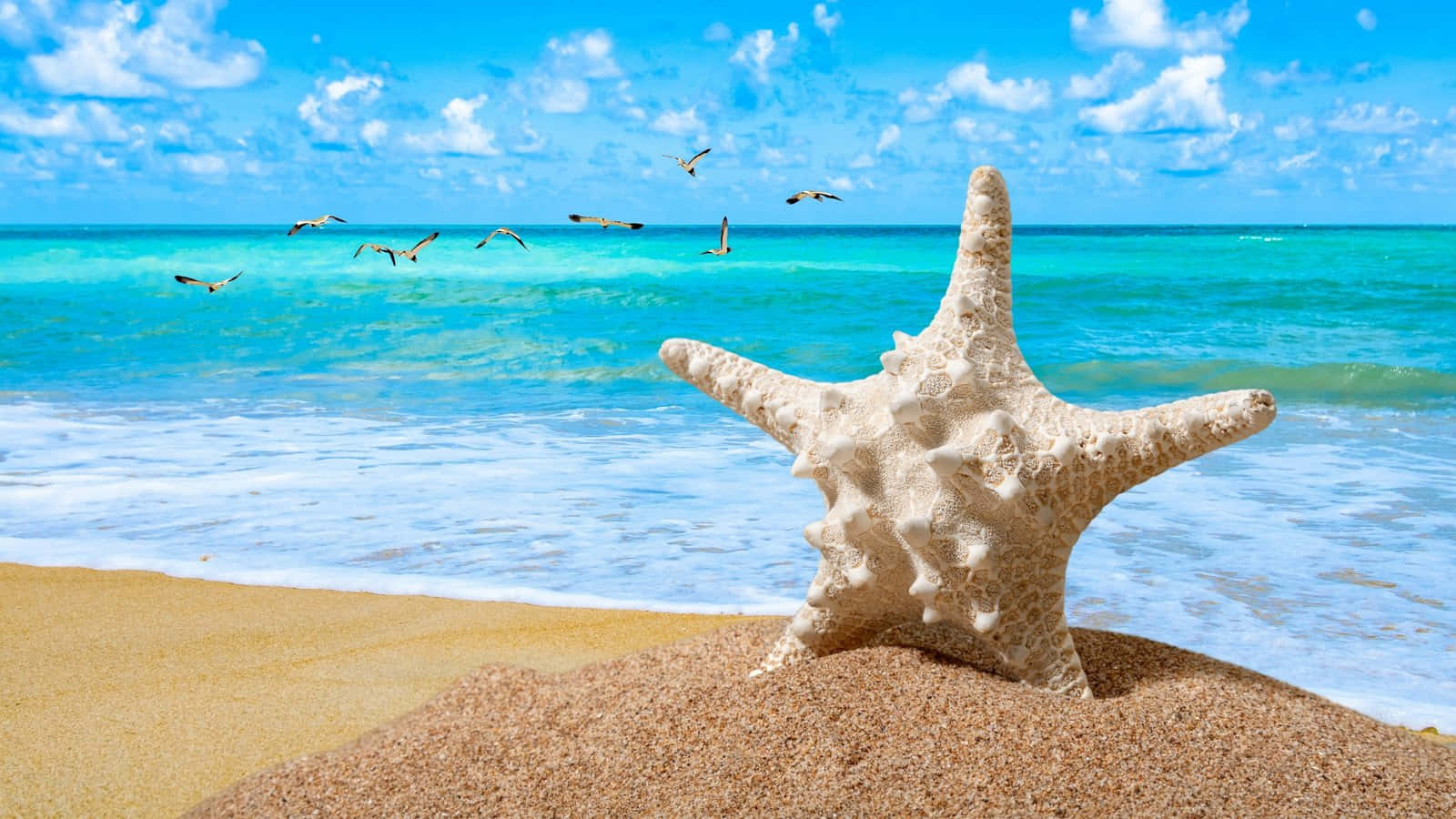 Cool Desktop 桌布 壁紙 — 一隻有紋理的海星躺在金色沙灘上，綠松石色的海浪在明亮的藍天下翻滾，海鷗飛翔。
