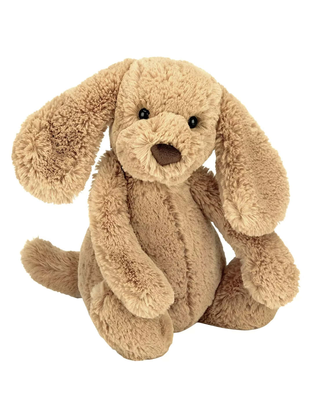 Cuddly 桌布 壁紙 — 一隻柔軟嘅淺褐色毛絨小狗，垂耳，坐直喺乾淨嘅白色背景前。
