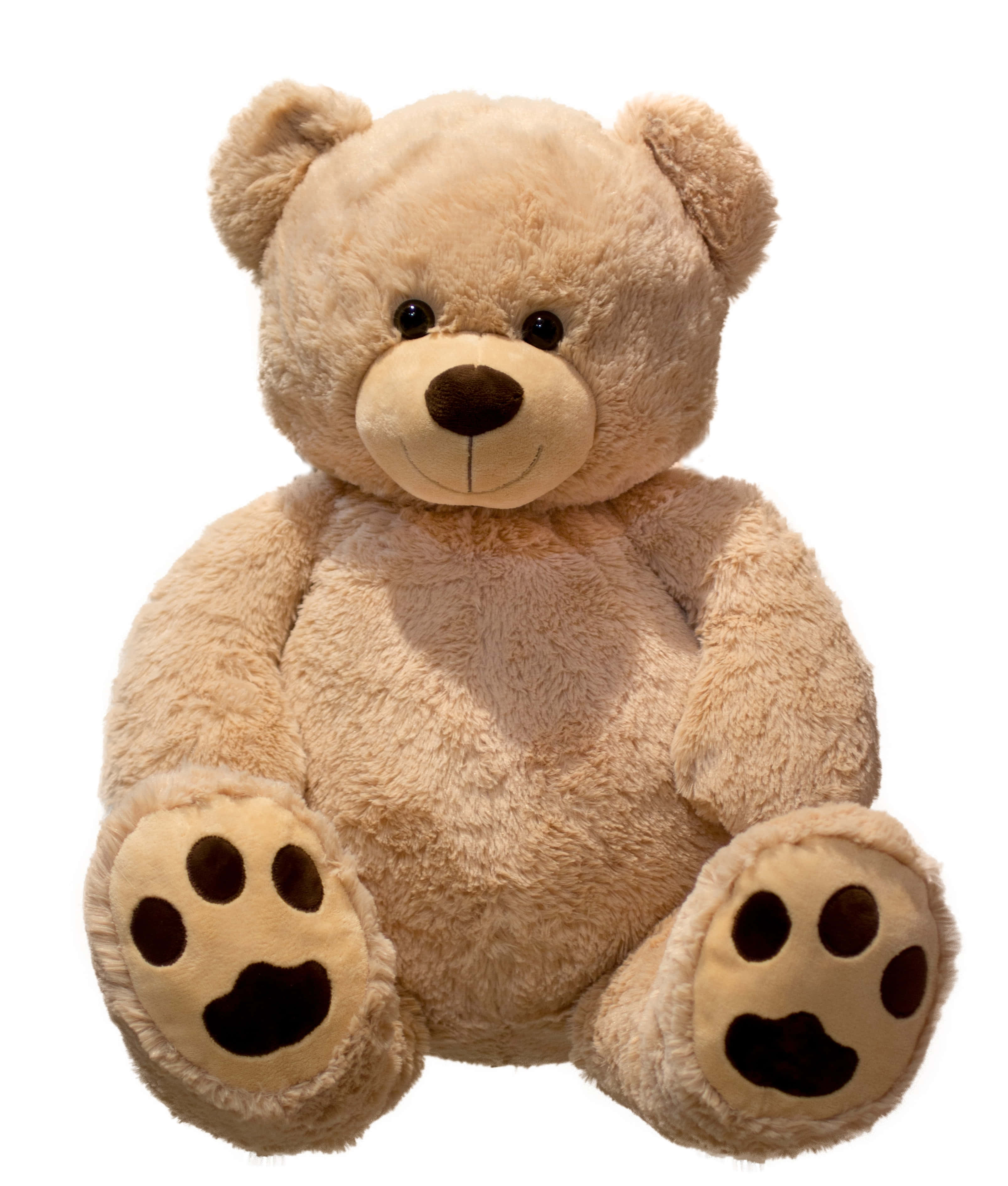 Cuddly 桌布 壁紙 — 一隻柔軟嘅米色泰迪熊，有深啡色嘅手掌同鼻，直坐喺純白色背景前面。
