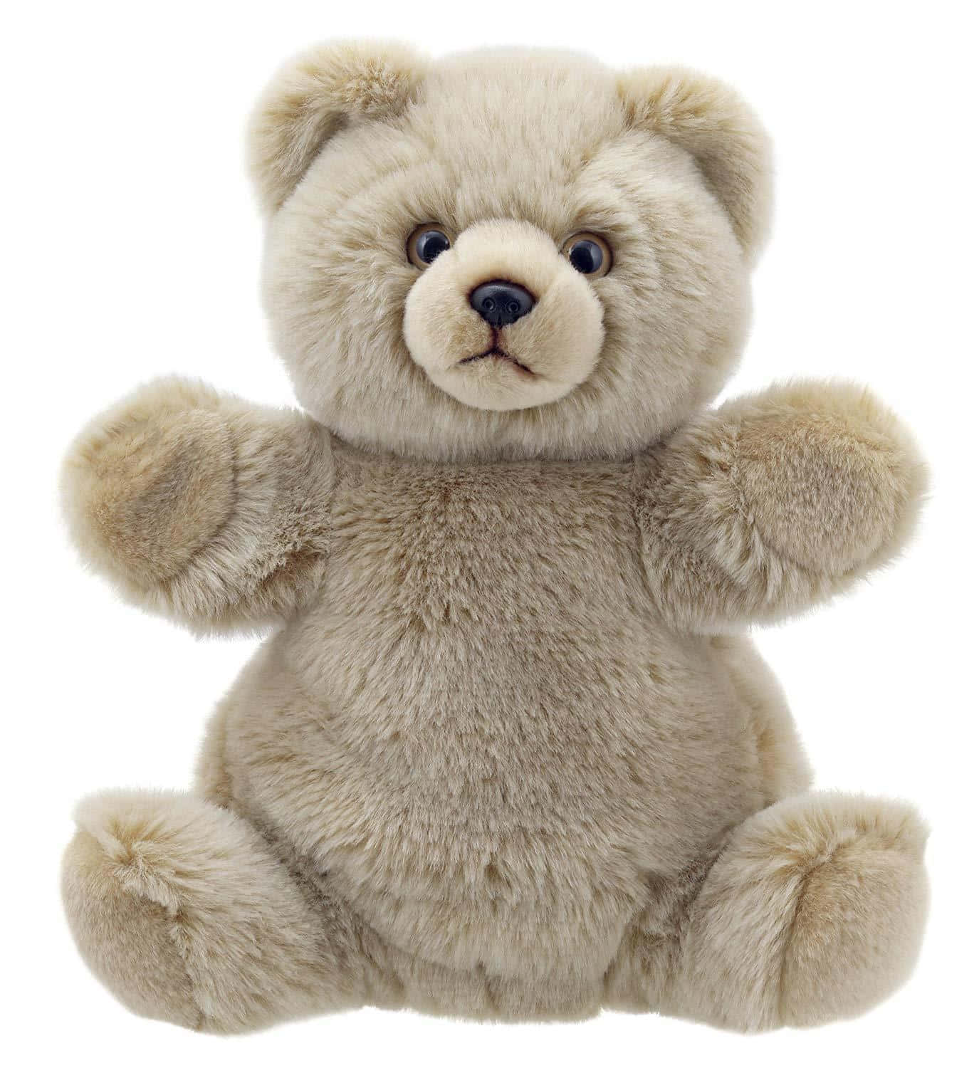Cuddly 桌布 壁紙 — 一隻柔軟的米色毛絨泰迪熊伸直雙臂，端坐在潔白的背景前。