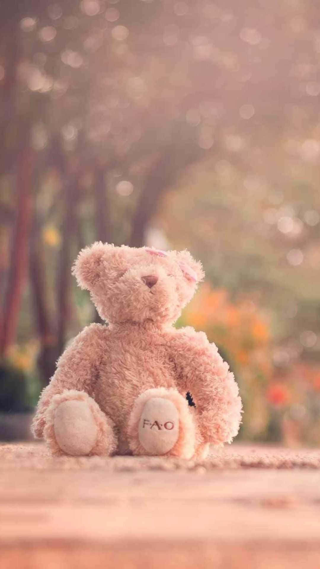 Teddy Bear 桌布 壁紙 — 一隻柔軟的粉紅色泰迪熊獨自坐在陽光普照的秋日森林小徑上，背景是模糊的金色樹葉。