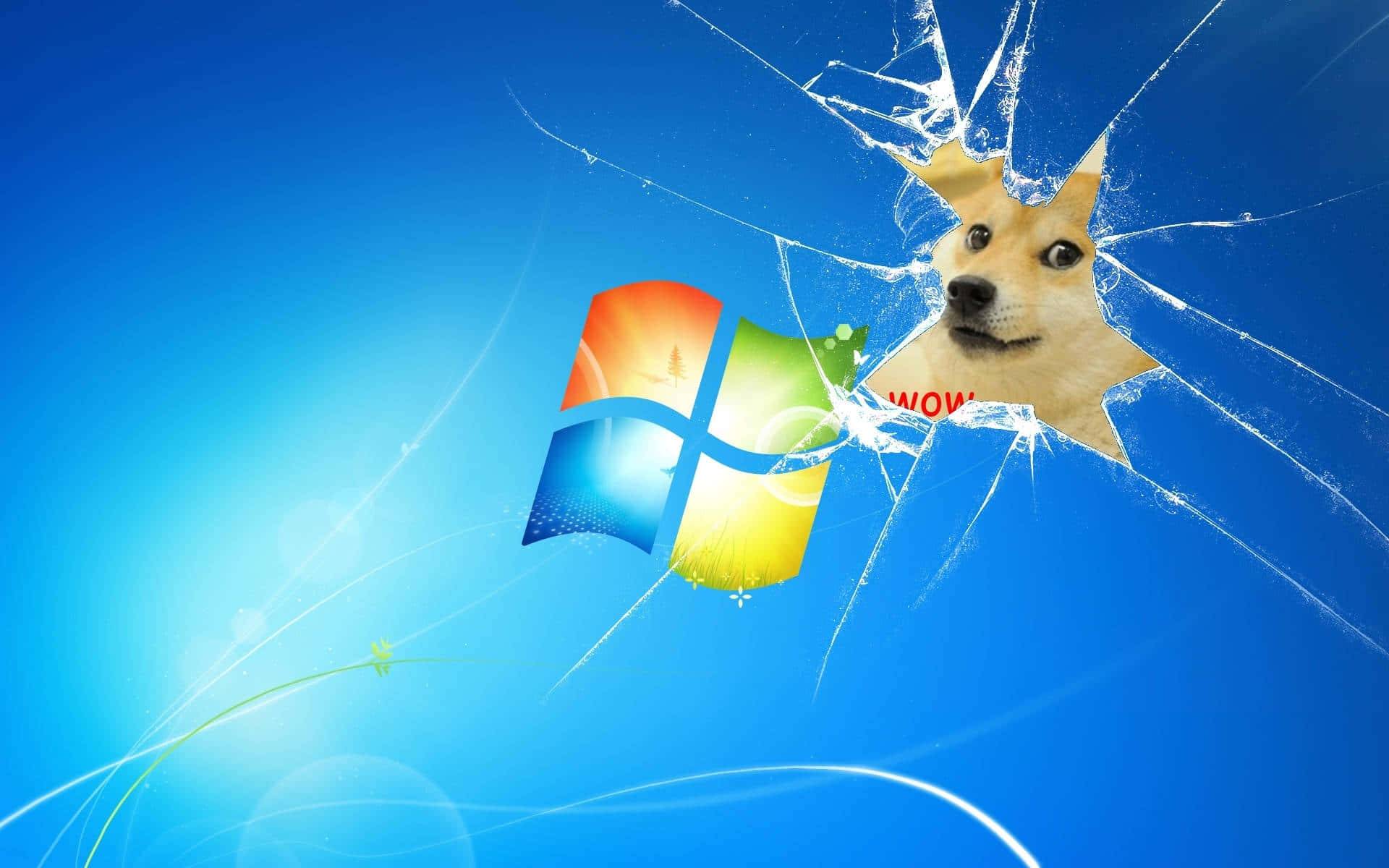 Dog Memes 桌布 壁紙 — 一隻柴犬在藍色漸變背景上，衝破Windows標誌上的裂紋玻璃效果。