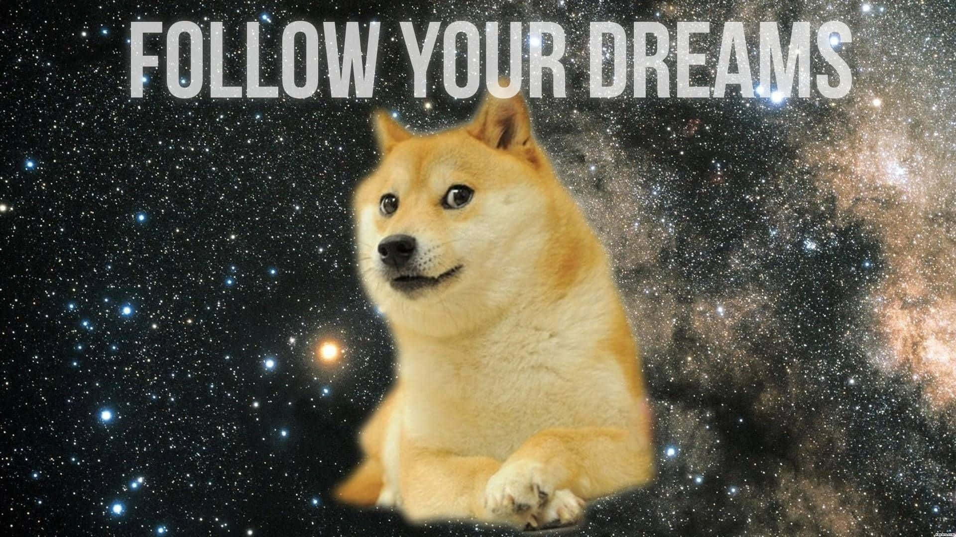 Cute Animal Memes 桌布 壁紙 — 一隻柴犬平靜地坐在充滿活力的星空銀河背景前，上面覆蓋著「FOLLOW YOUR DREAMS」的文字。