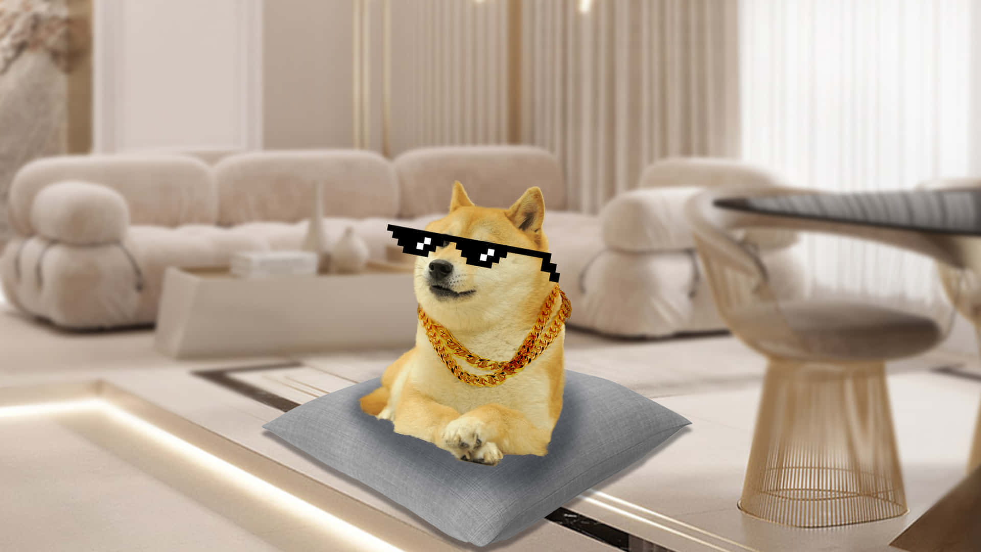 Dog Memes 桌布 壁紙 — 一隻柴犬戴著像素化太陽眼鏡和一條金鏈，在現代簡約風格的客廳的枕頭上閒逛。