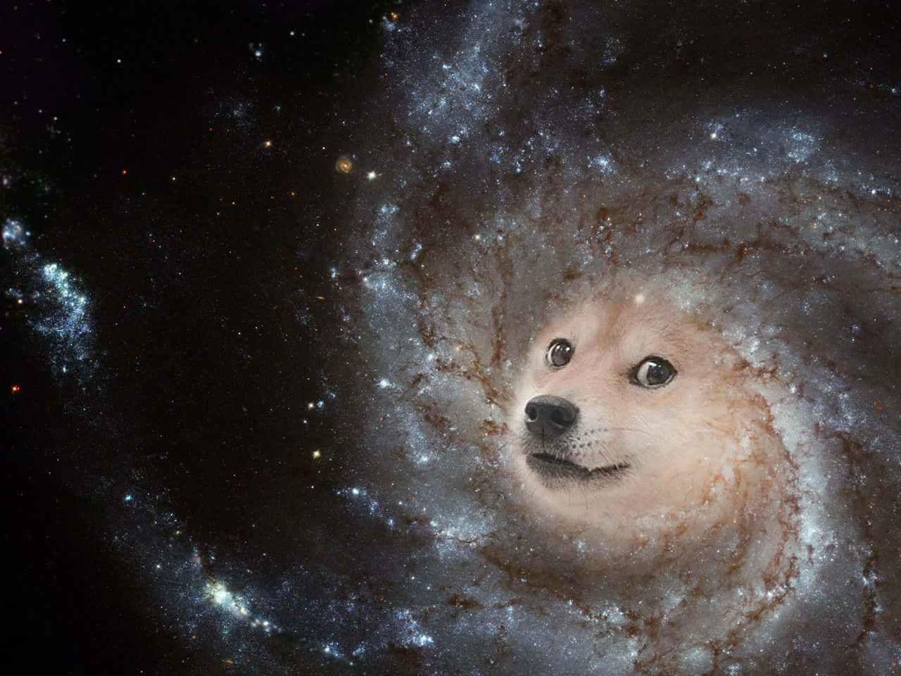 Dog Memes 桌布 壁紙 — 一隻柴犬的臉從充滿星星和宇宙塵埃的旋轉螺旋星系中浮現。