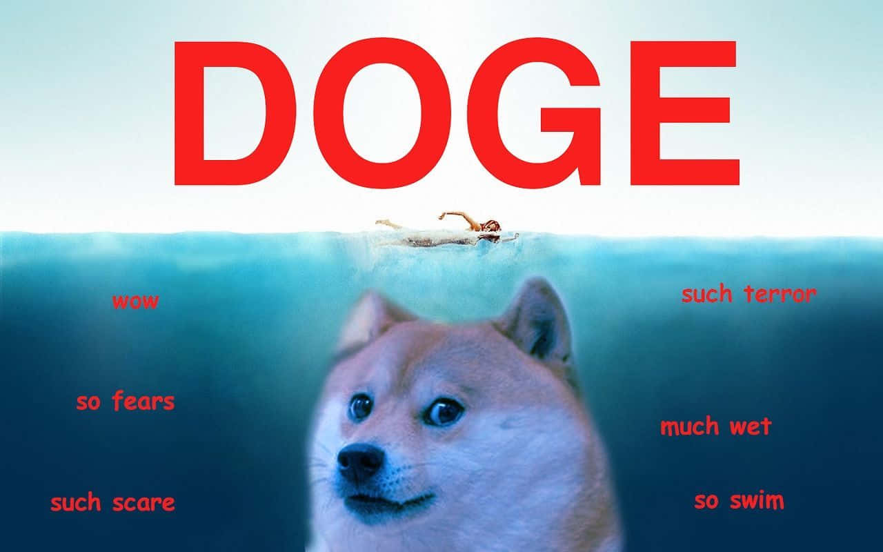 Dog Memes 桌布 壁紙 — 一隻柴犬的臉從水下浮現，上面有一個游泳者，覆蓋著紅色迷因文字，寫著DOGE和wow so fears等短語。