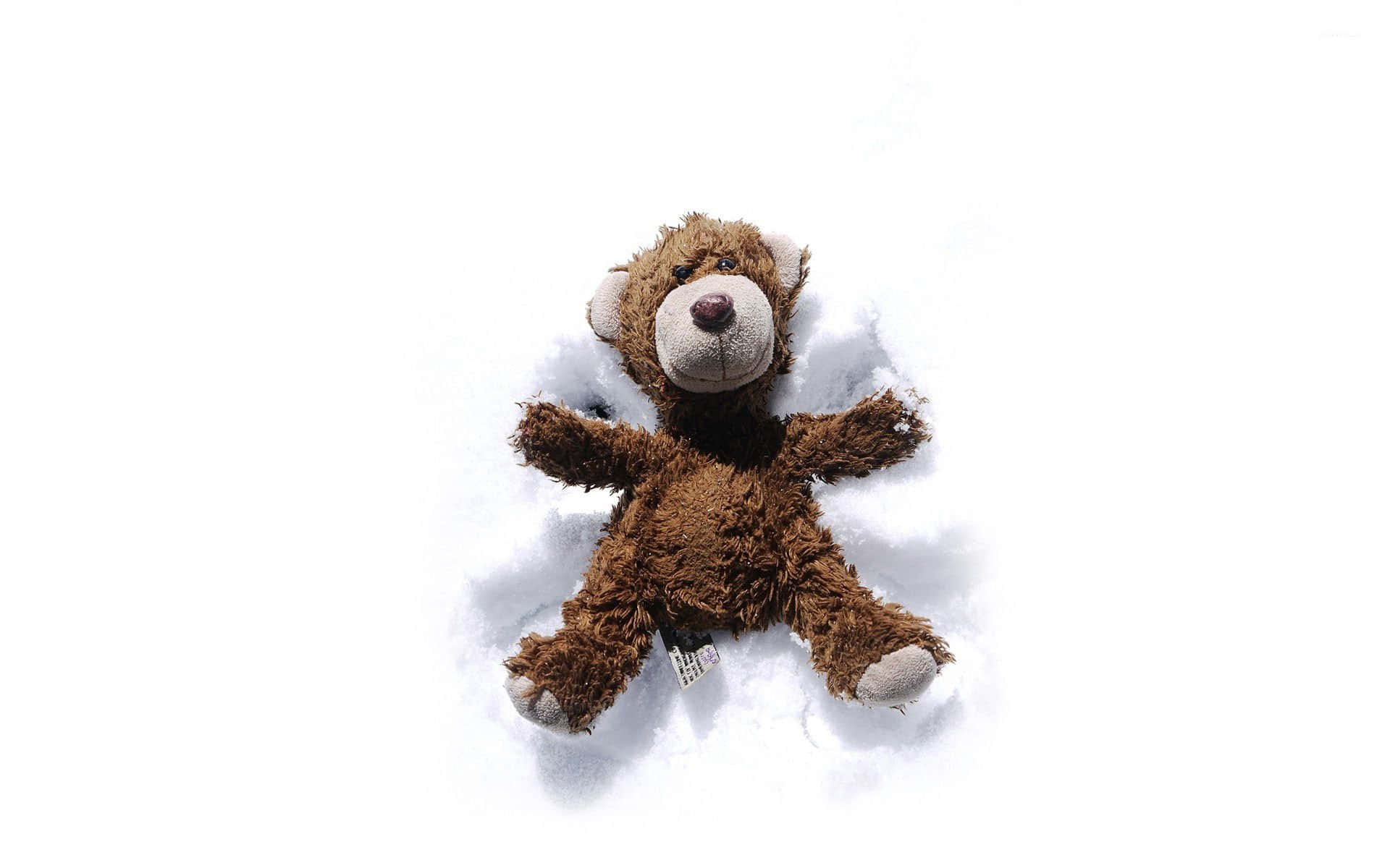 Snow Angel 桌布 壁紙 — 一隻棕色毛絨泰迪熊攤開四肢躺在純白背景的雪地上。