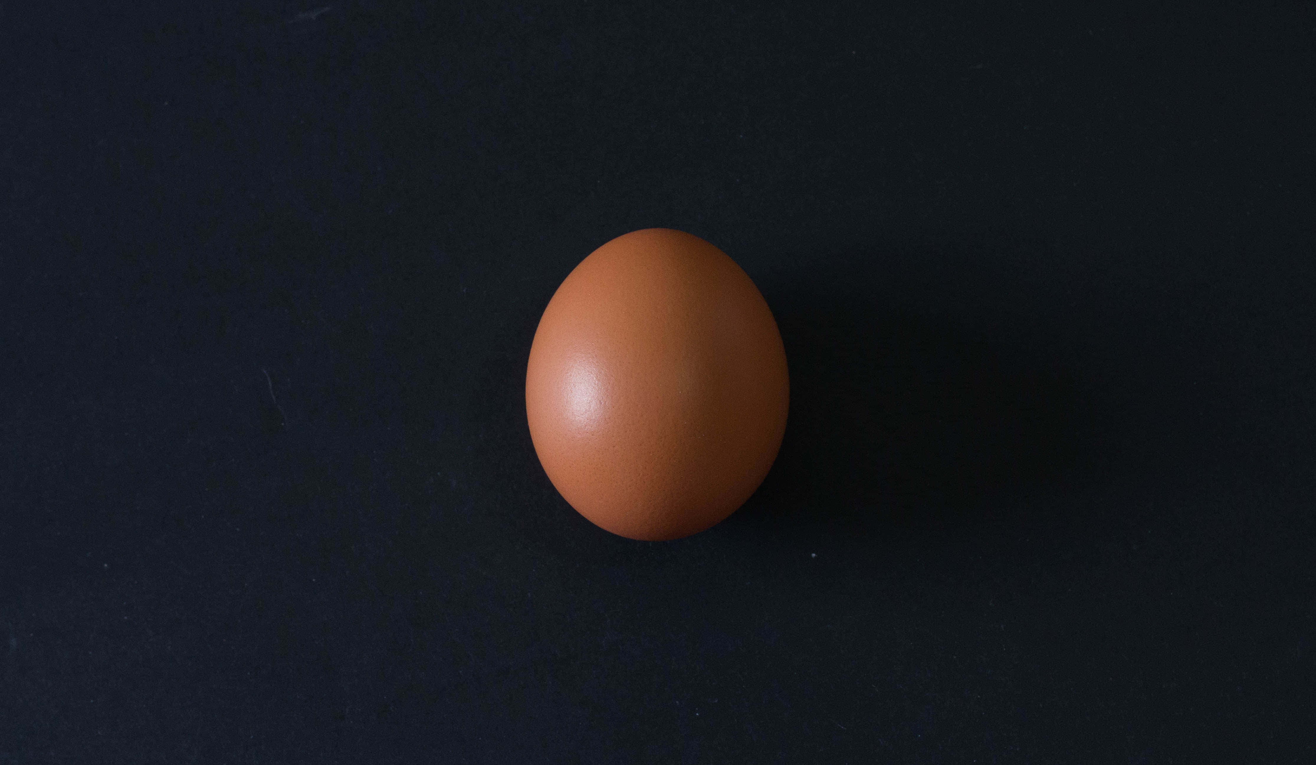 Brown Eggs 桌布 壁紙 — 一隻棕色雞蛋在柔和定向燈光下，居中放置在深色紋理表面上。