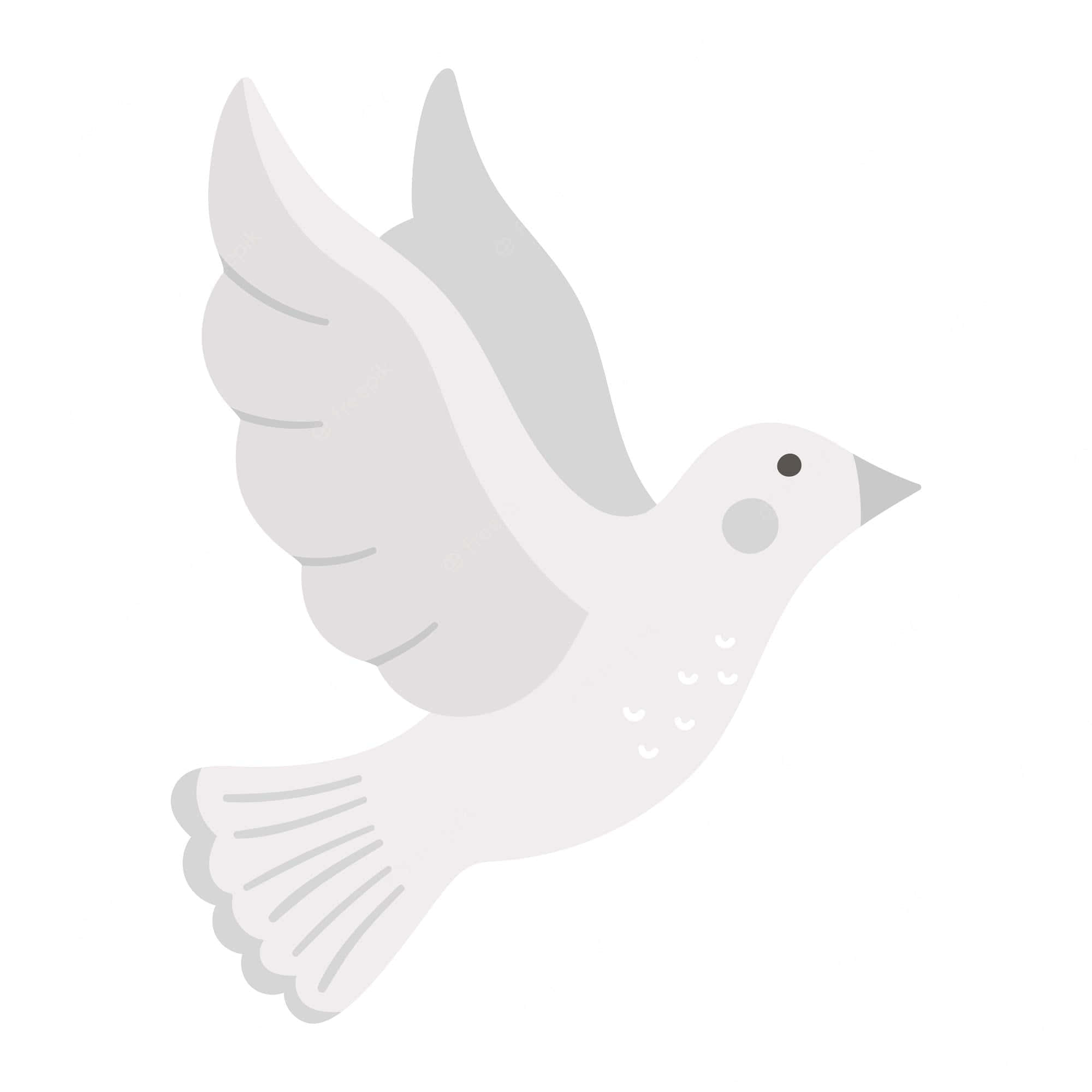 Dove Wings 桌布 壁紙 — 一隻極簡風格的白色鴿子在飛行中，帶有灰色翅膀點綴和簡單線條細節，背景為純色。
