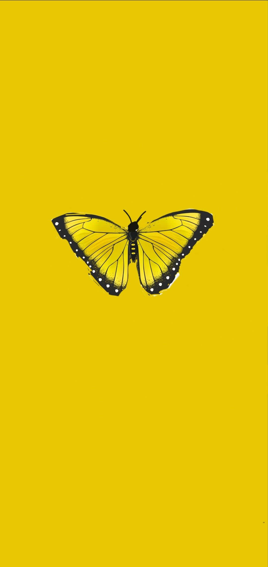Butterfly Yellow 桌布 壁紙 — 一隻極簡風格的黃色蝴蝶，帶有黑色輪廓和白色斑點，居中於純芥末黃色背景上。