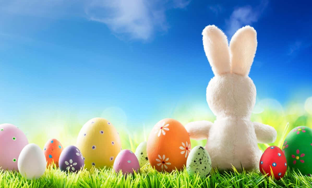 Cute Easter 桌布 壁紙 — 一隻毛茸茸的白兔坐在充滿活力的綠草中，周圍是色彩繽紛的裝飾復活蛋，在明亮的藍天下。