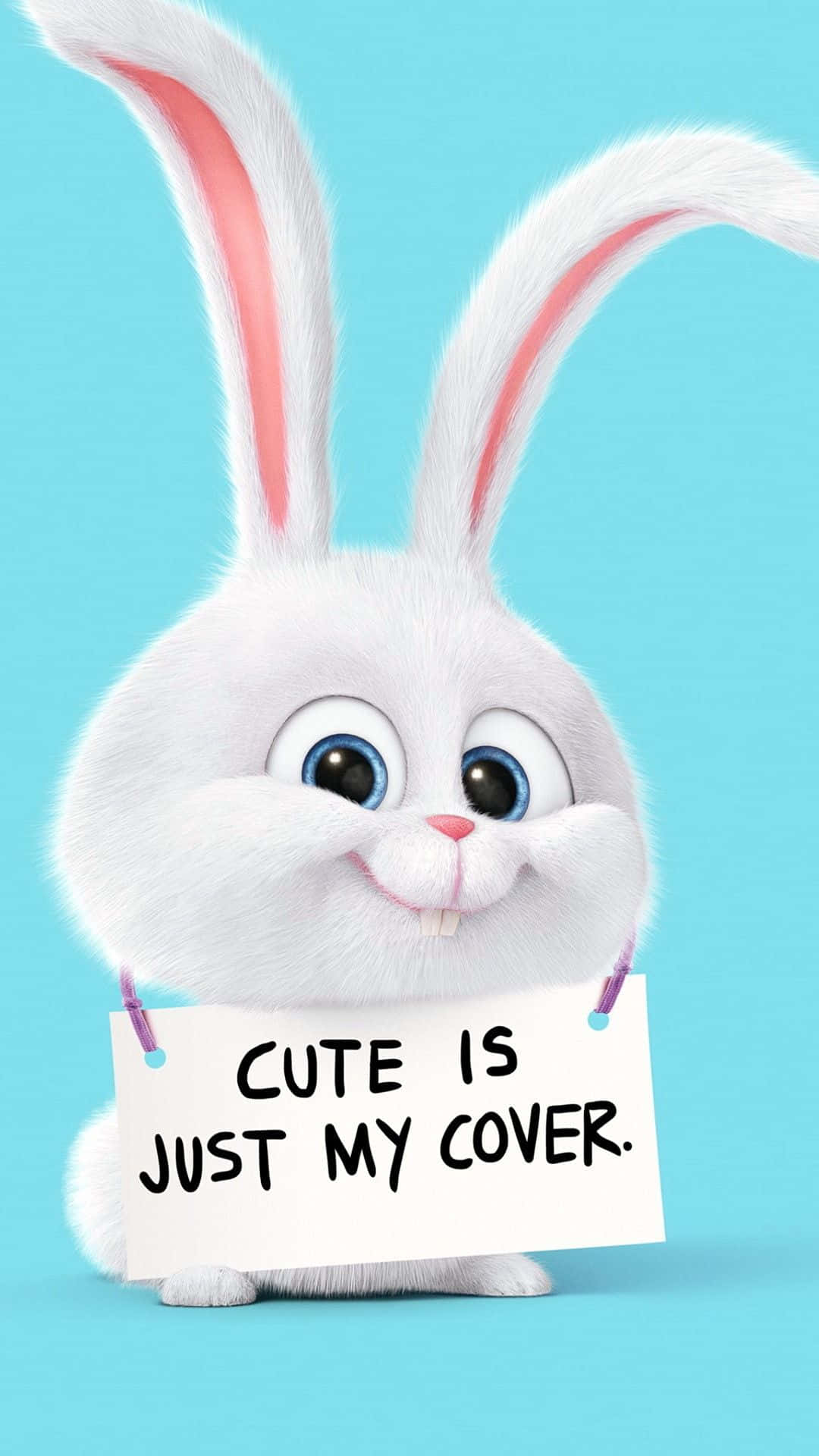 Cute Cartoon Characters 桌布 壁紙 — 一隻毛茸茸的白色動畫兔仔，粉紅色內耳，喺純藍綠色背景前舉起一個寫住「CUTE IS JUST MY COVER」嘅牌。
