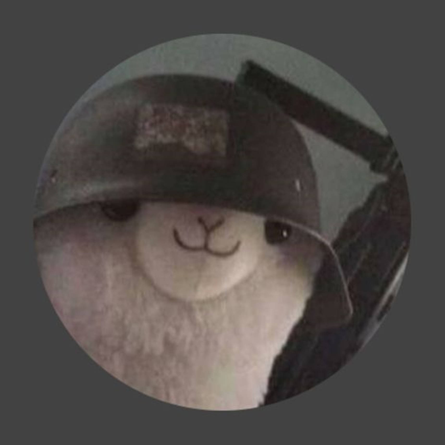 動物 桌布 壁紙 — 一隻毛茸茸的白色羊駝，戴著有補丁的軍用頭盔，在黑暗環境中拿著步槍。