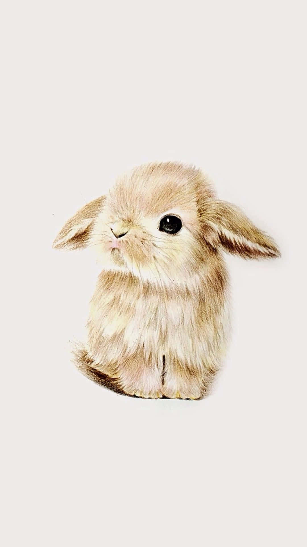 Kawaii Bunny 桌布 壁紙 — 一隻毛茸茸的米色垂耳兔，安靜地坐在柔和的米白色背景前。