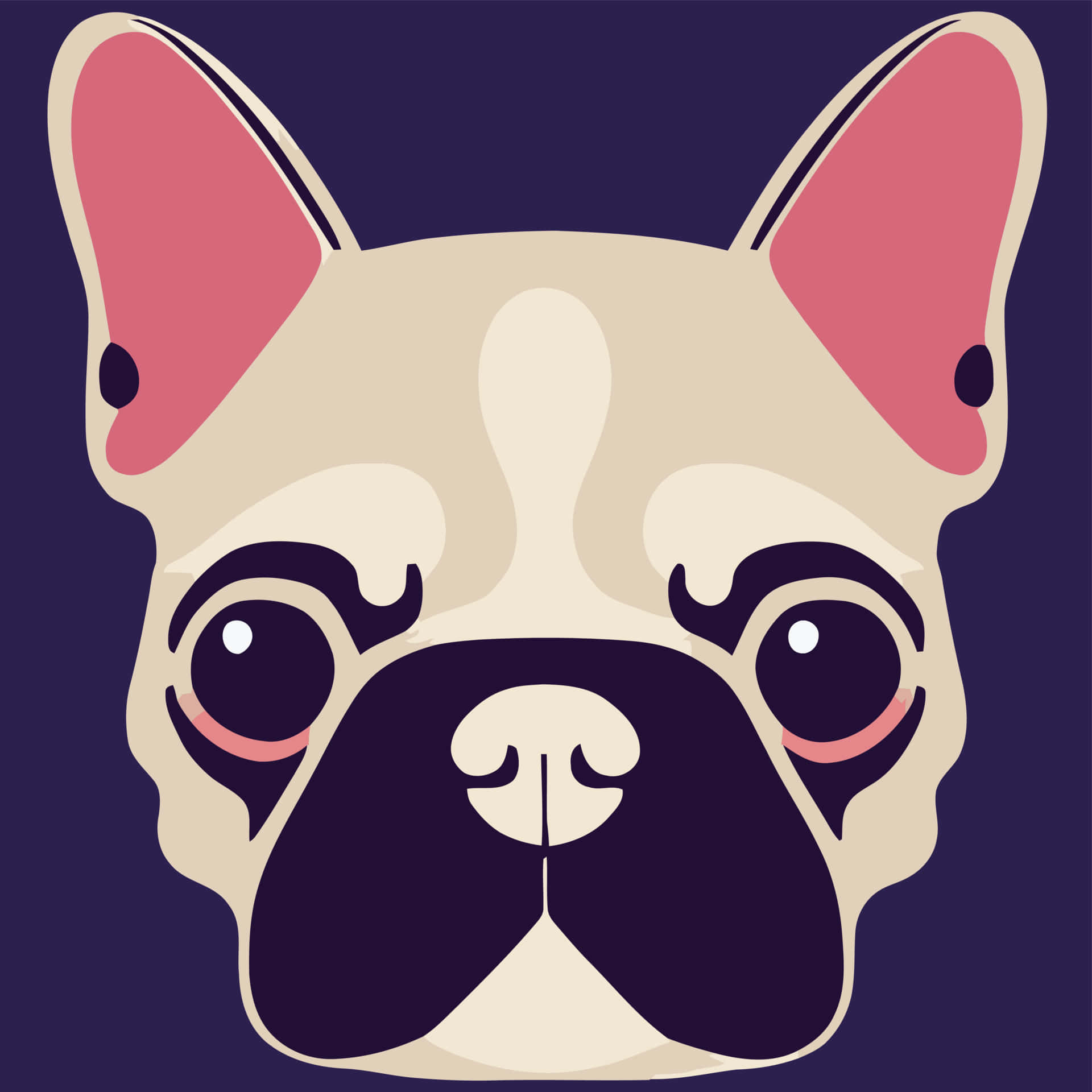 一隻法國鬥牛犬幼犬好奇地望向鏡頭。 壁紙